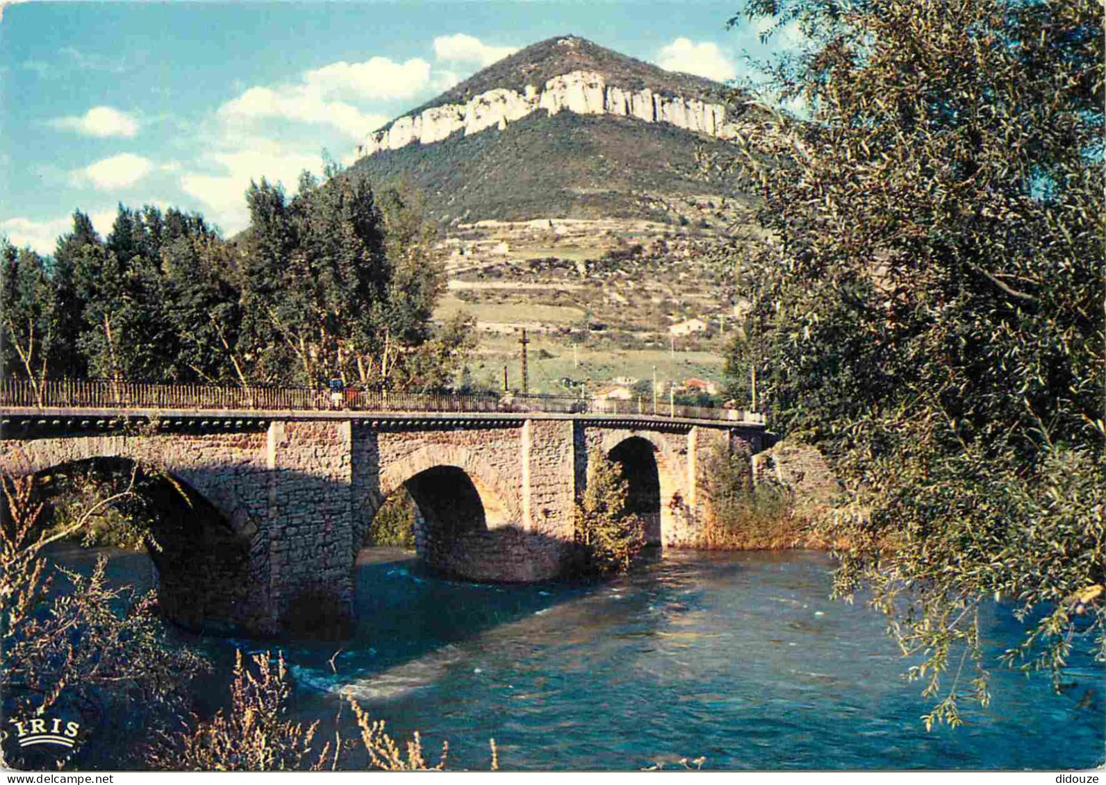 12 - Millau - Le Pont De Cureplat - CPM - Voir Scans Recto-Verso - Millau