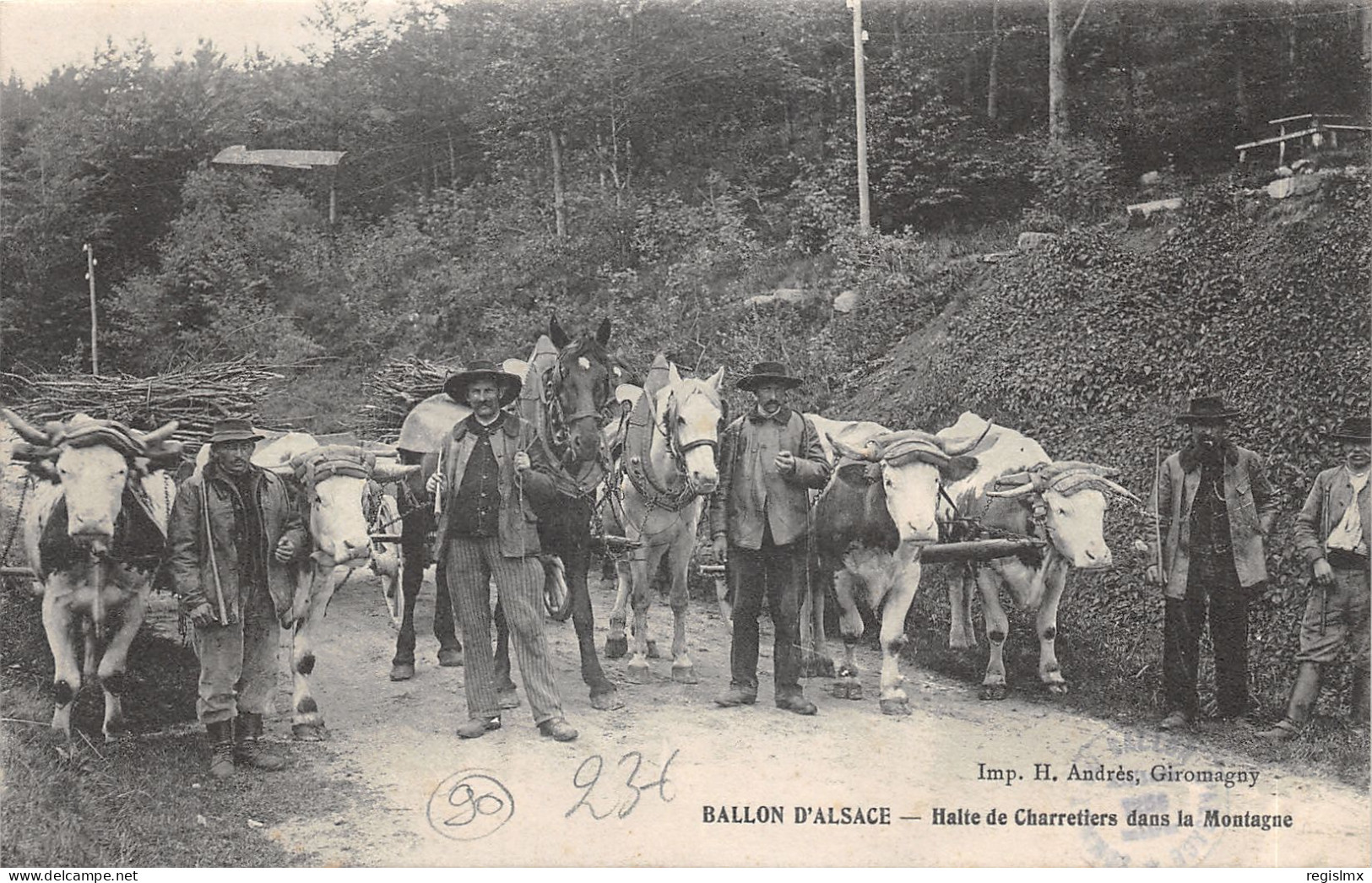 90-BALLON D ALSACE-HALTE DE CHARRETIERS-N°2158-F/0115 - Otros & Sin Clasificación