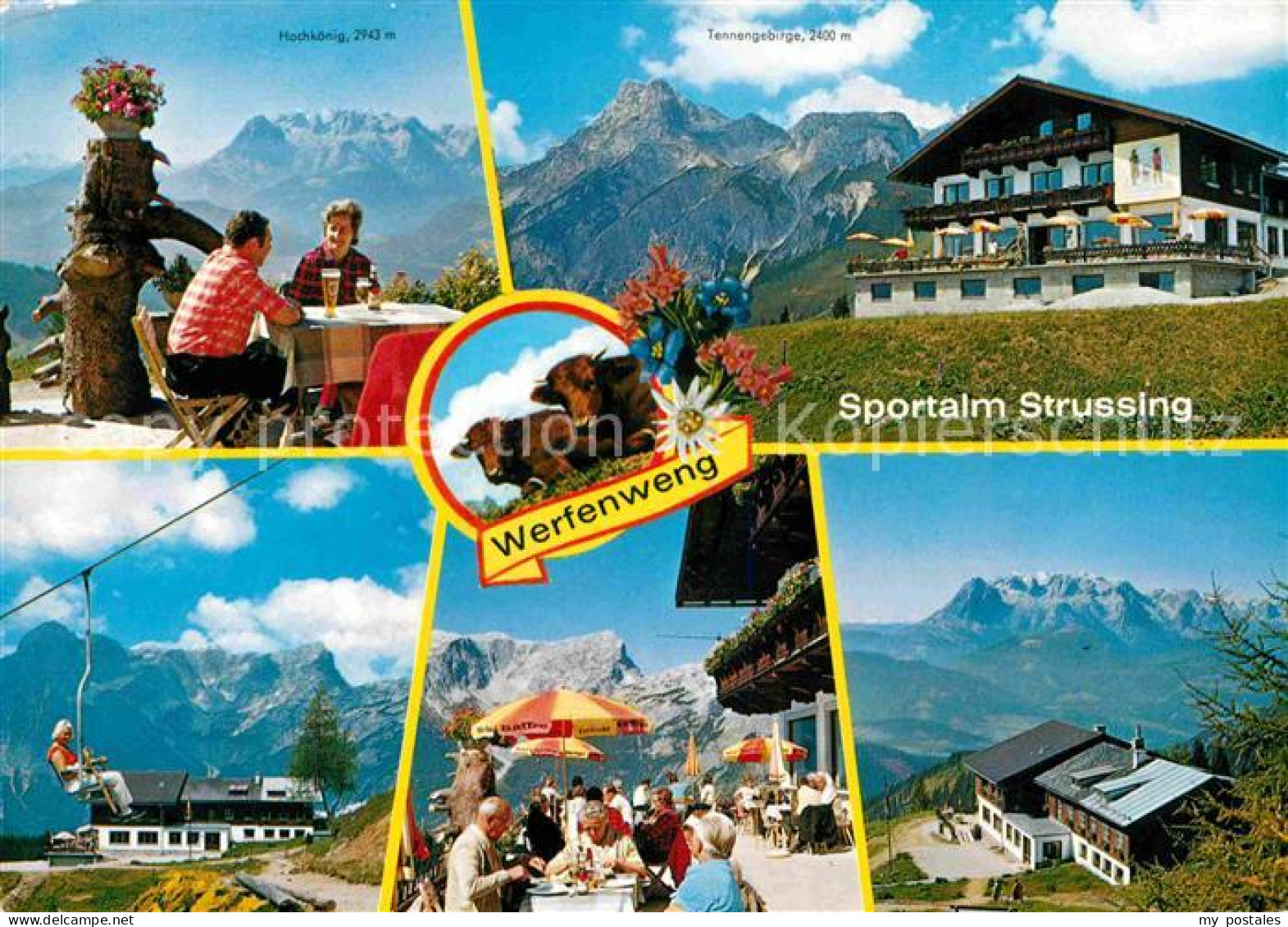 72618612 Werfenweng Gasthof Restaurant Sportalm Strussing Kuehe Alpenflora Alpen - Other & Unclassified