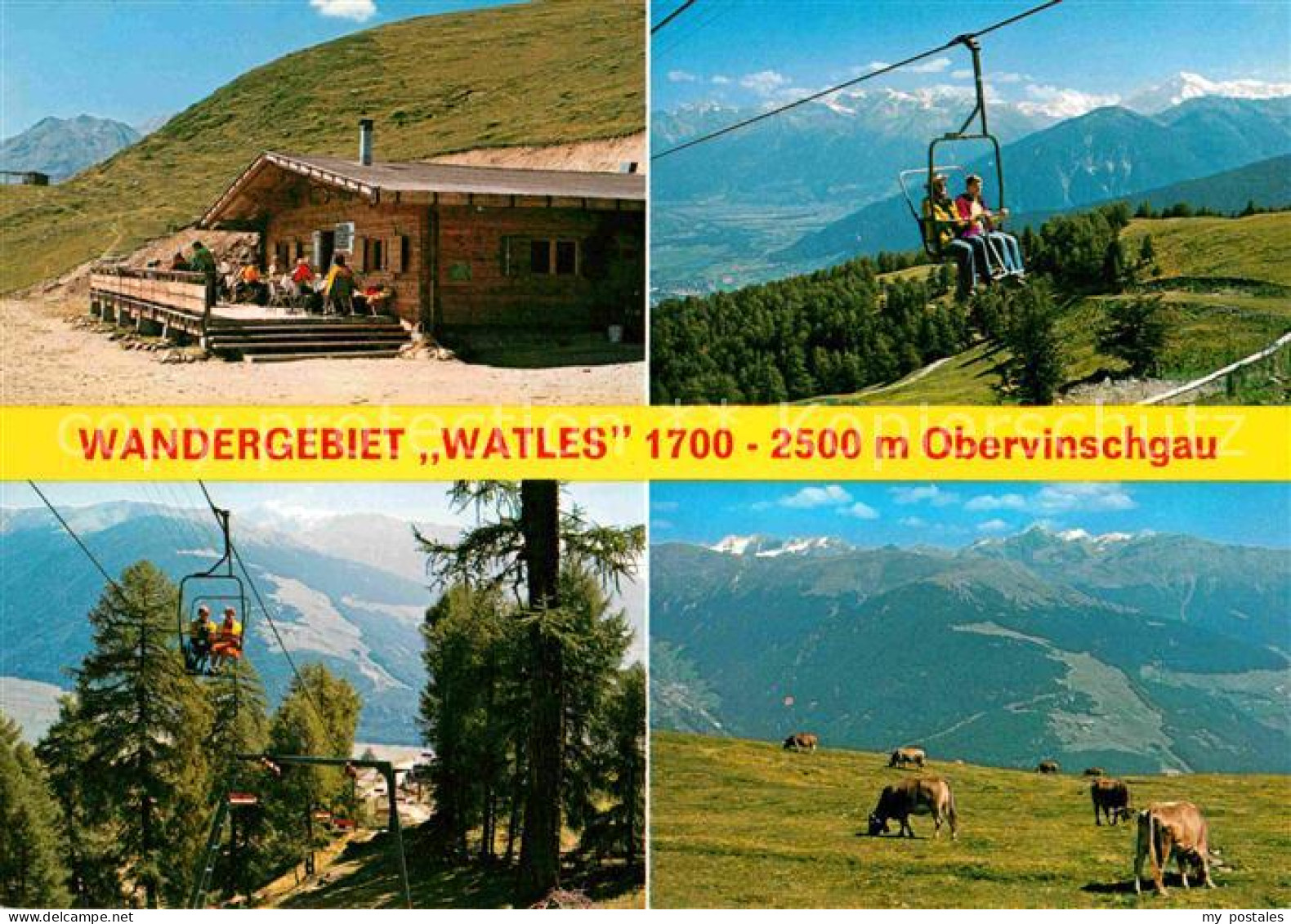 72618551 Vinschgau Val Venosta Wandergebiet Watles Berghuette Sesselbahn Almvieh - Sonstige & Ohne Zuordnung