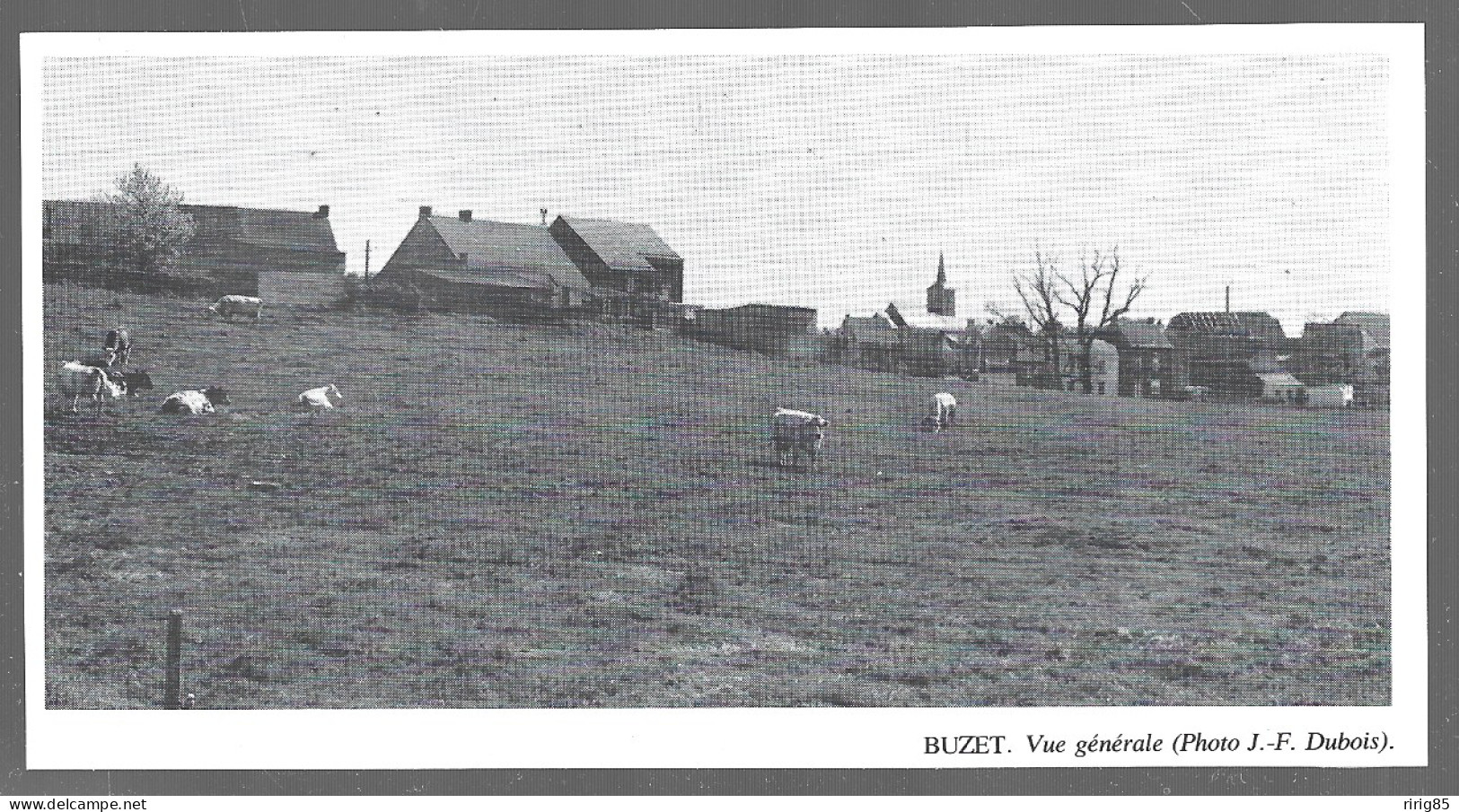 1980  --  BELGIQUE . BUZET . VUE DU VILLAGE . 4B175 - Zonder Classificatie