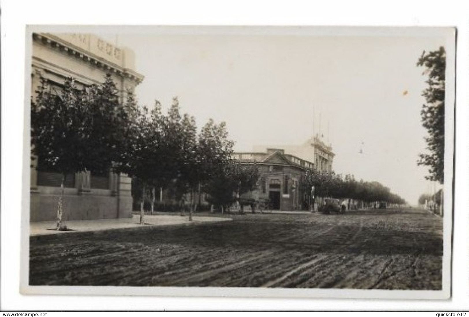 Calle Salliquelo - Prov. Buenos Aires  7505 - Argentina