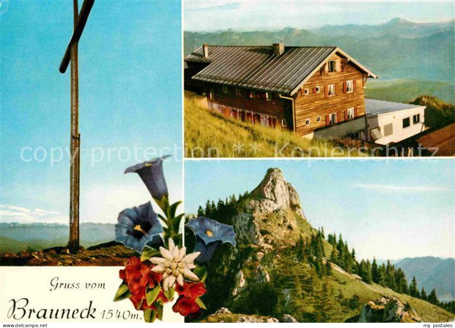 72616619 Brauneck-Gipfelhaus Gipfelkreuz Alpenflora Felsen Brauneck-Gipfelhaus - Lenggries