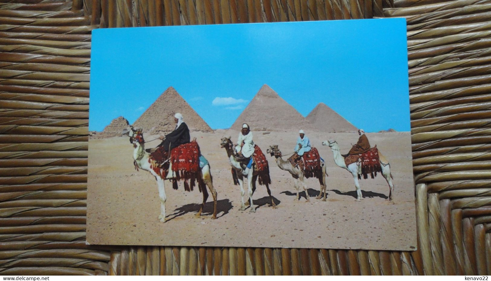 égypte , Giza , Arab Camelriders In Front Of The Pyramids - Gizeh