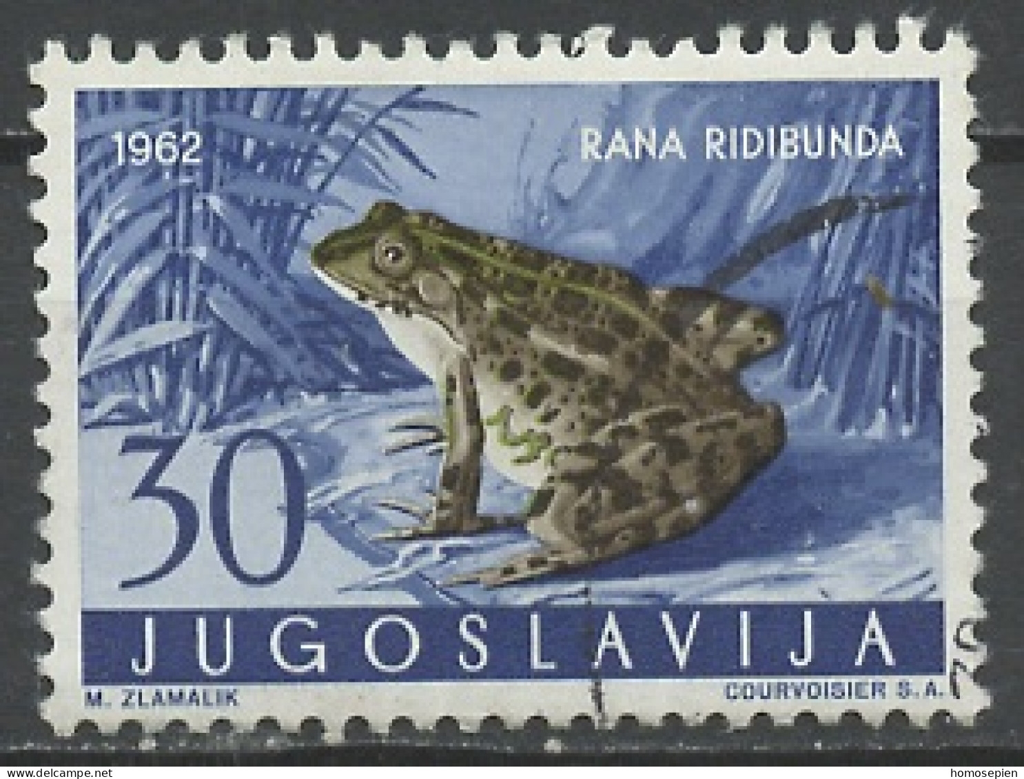 Yougoslavie - Jugoslawien - Yugoslavia 1962 Y&T N°908 - Michel N°1010 (o) - 30d Reinette - Used Stamps
