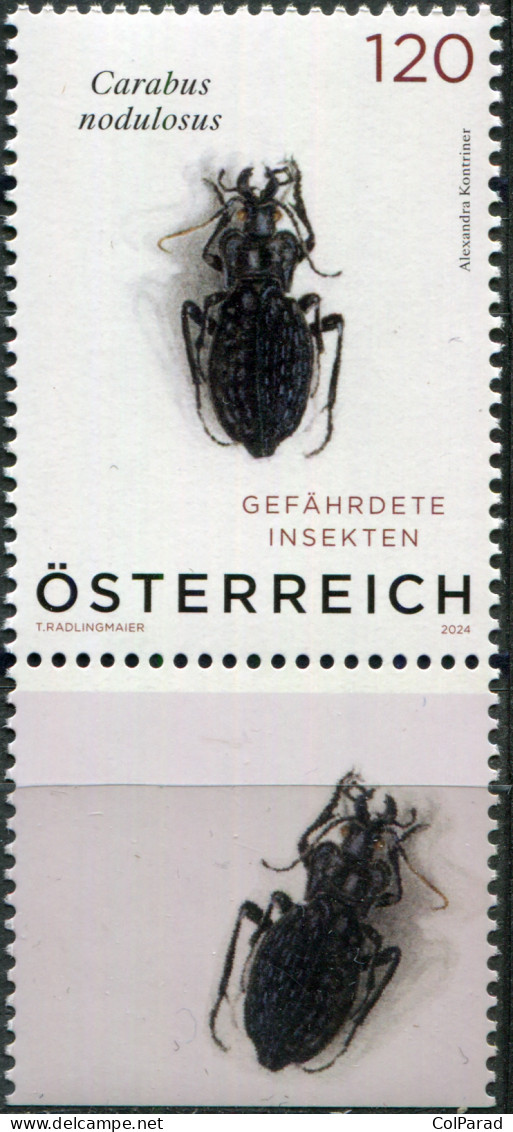 AUSTRIA - 2024 - STAMP MNH ** - Black Pit Beetle (Carabus Nodulosus) (V) - Ungebraucht