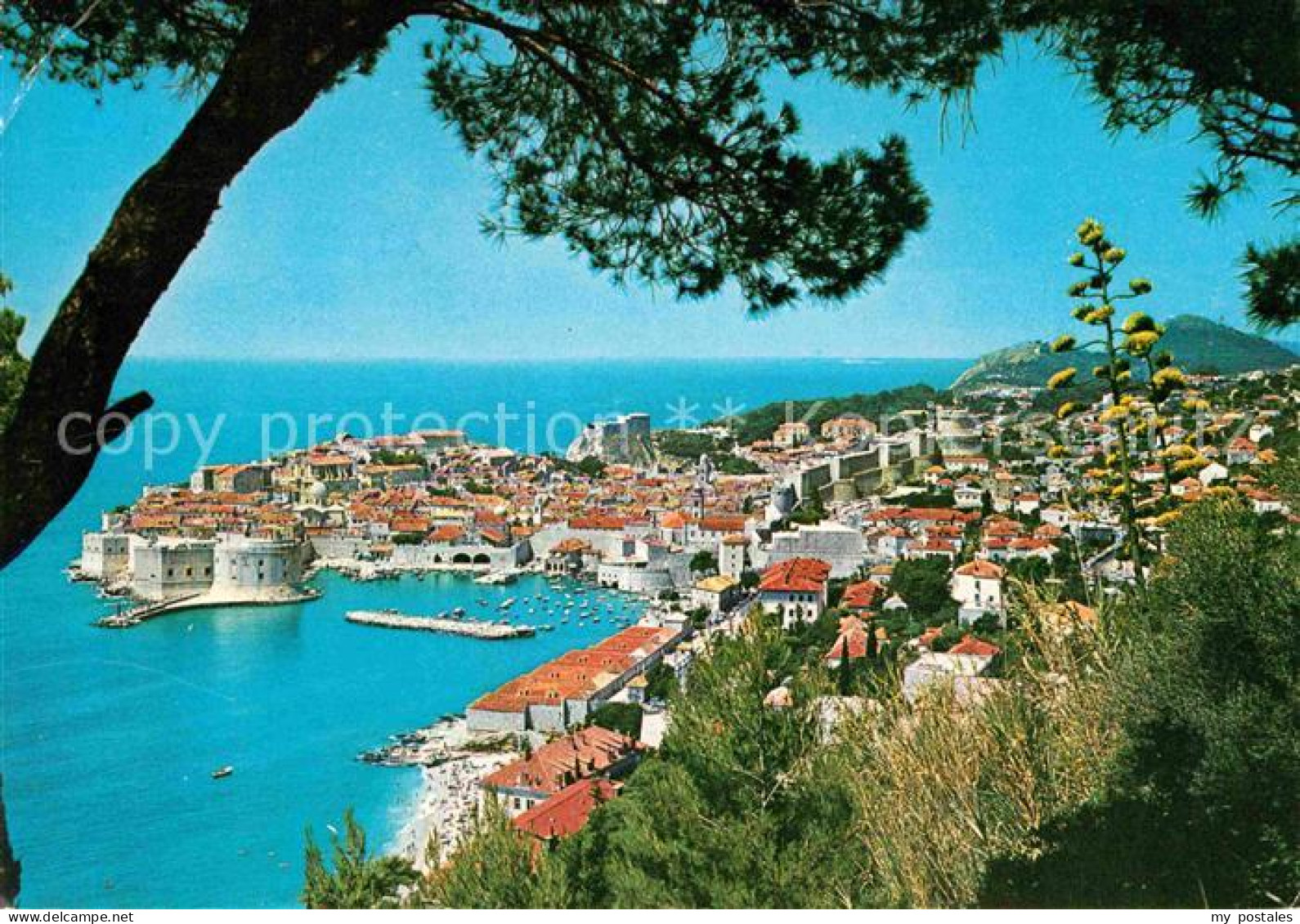 72615506 Dubrovnik Ragusa Panorama Croatia - Kroatië