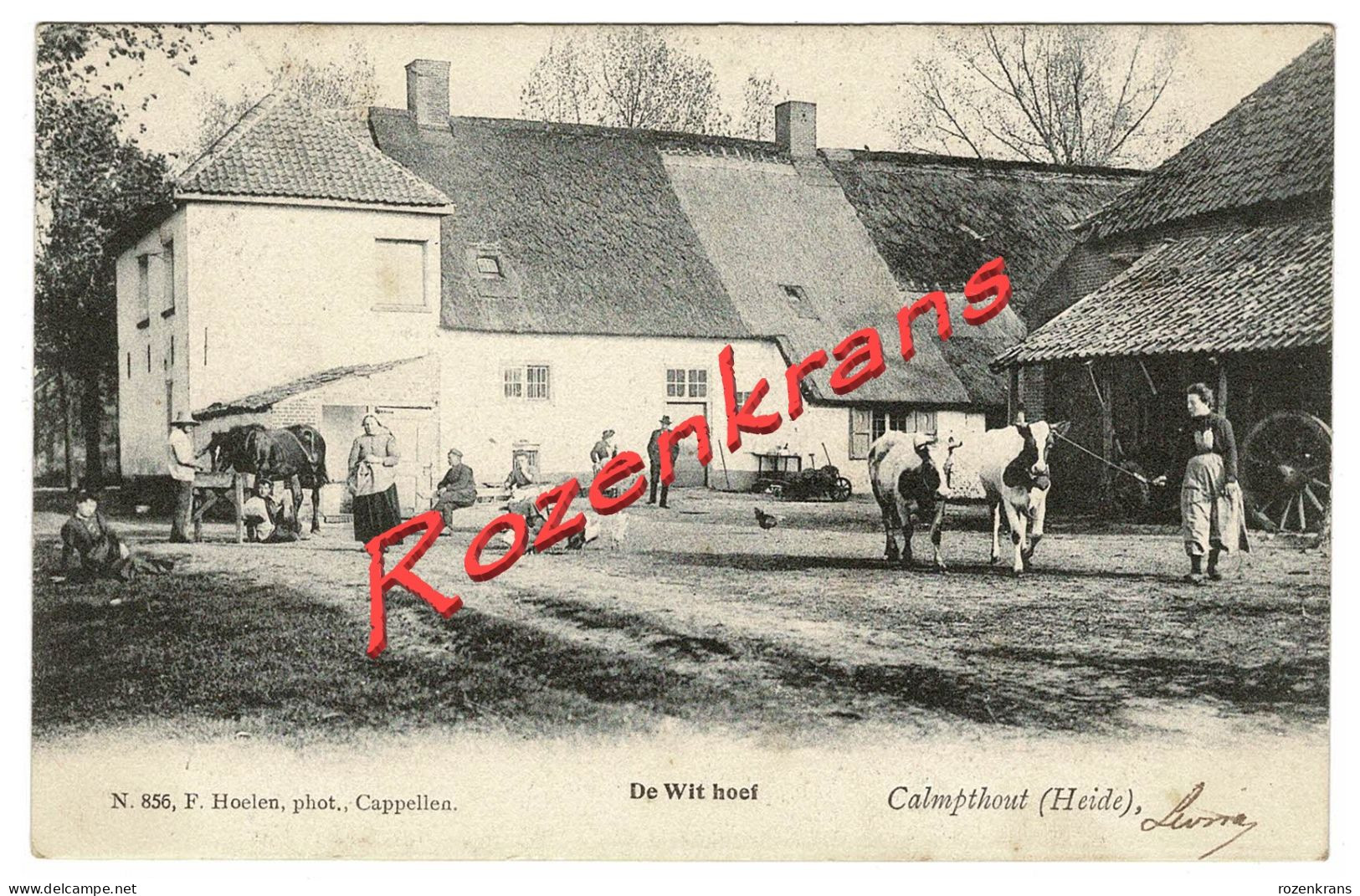 Kalmthout Calmpthout CPA 1903 De Wit Hoef Withoef Heide Nr 856 Hoelen Cappellen - Kalmthout