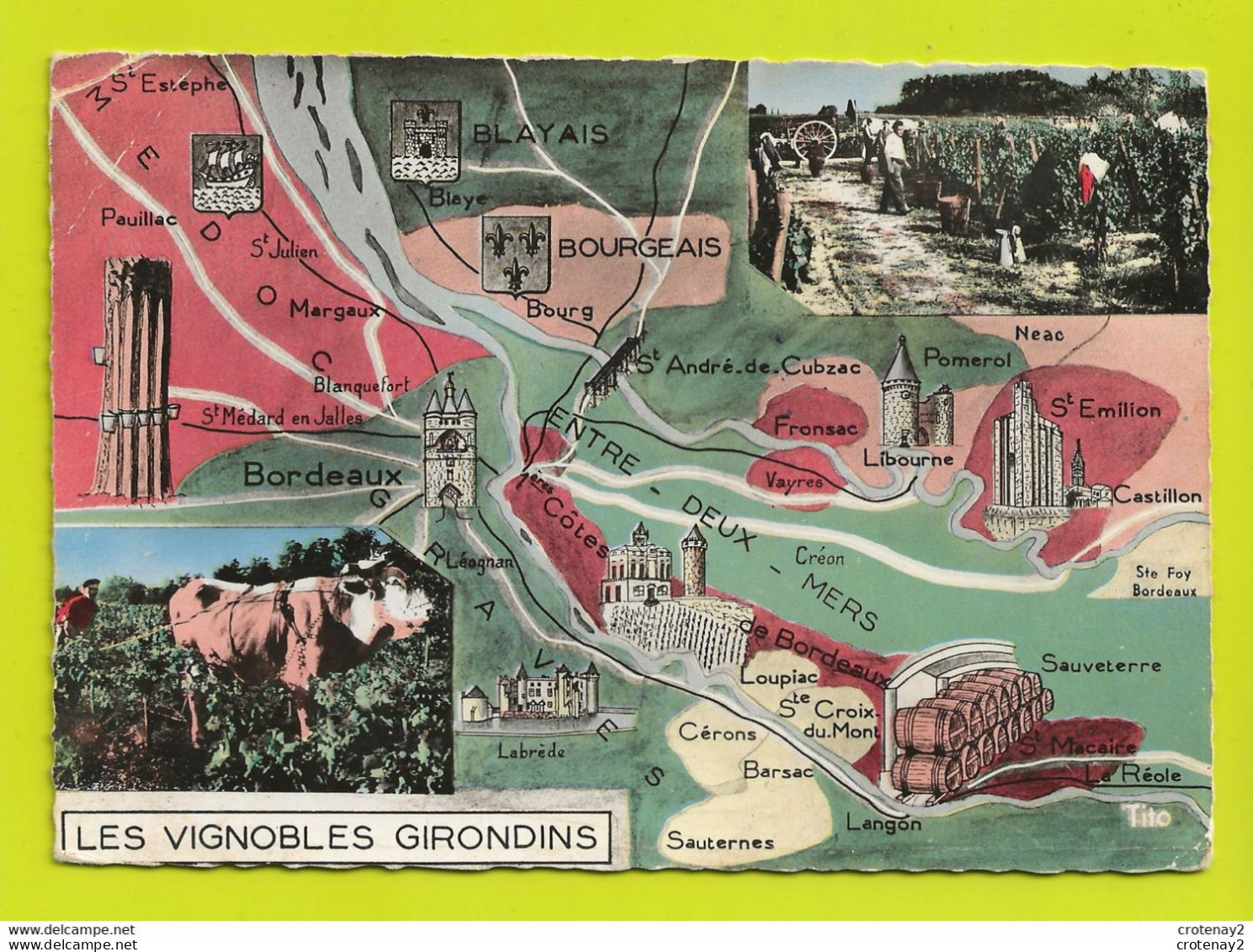 33 Les Vignobles Girondins En 1958 édit Berjaud Bordeaux Vignes Vin Vendanges Raisin Belle Vache - Weinberge