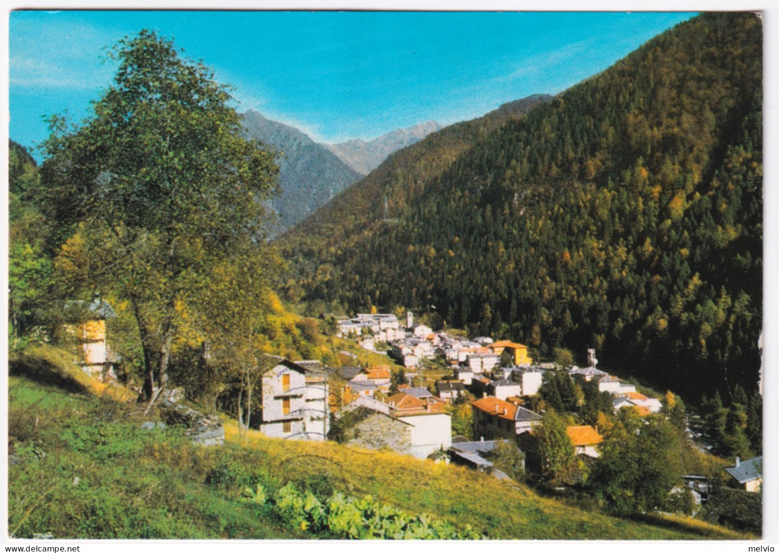 1993-RONCO CANAVESE Panorama Viaggiata Affrancata NATALE'92 Lire 600 I Presepi D - Other & Unclassified