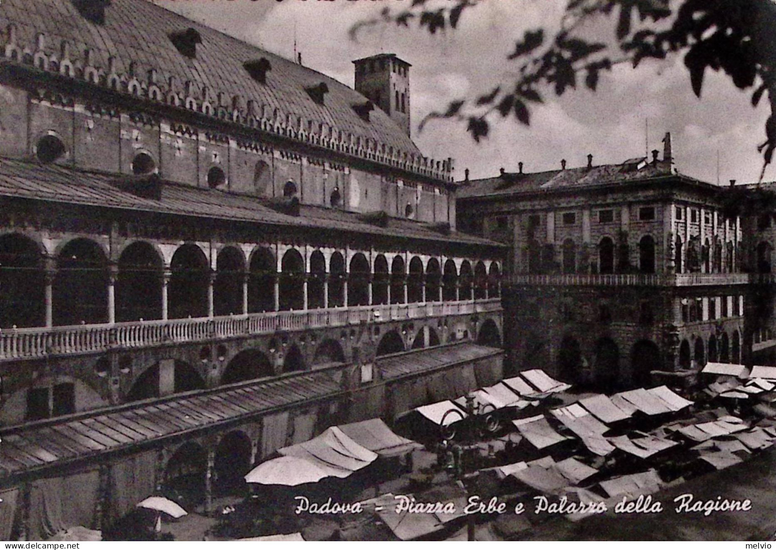 1955-BEATO ANGELICO Lire 10 Isolato Su Cartolina (Padova Pzza Erbe E Palazzo Rag - Padova (Padua)