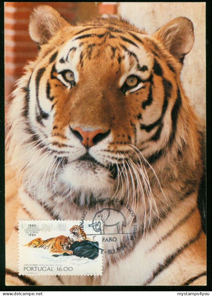 Mk Portugal Maximum Card 1984 MiNr 1617 | Centenary Of Lisbon Zoo. Siberian Tiger #max-0098 - Cartes-maximum (CM)