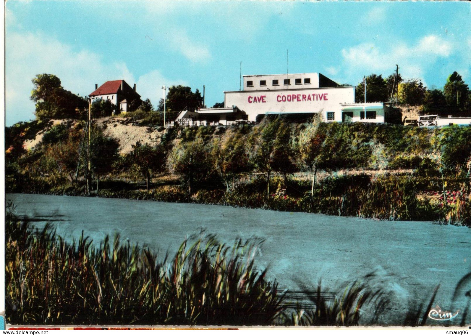 03 - SAINT-POURÇAIN SUR SIOULE - CAVE COOPÉRATIVE - Other & Unclassified