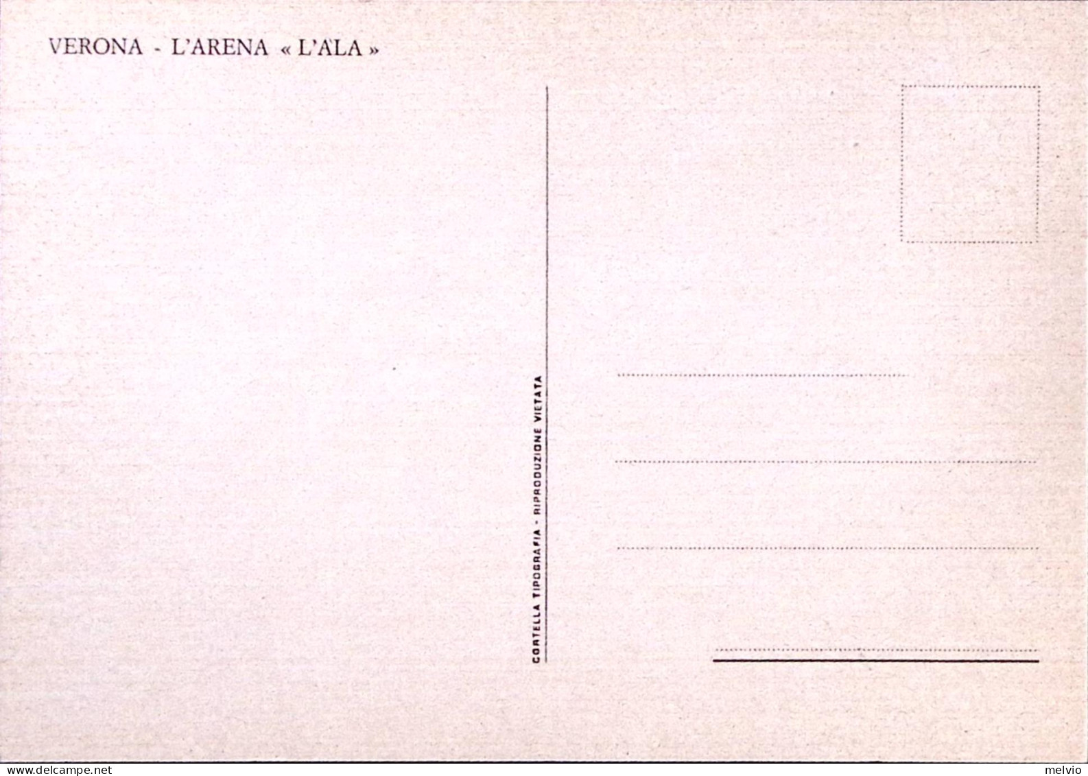 1982-VERONA TROFEO MOTOCICLISTICO (18.9) Annullo Speciale Su Cartolina - Verona
