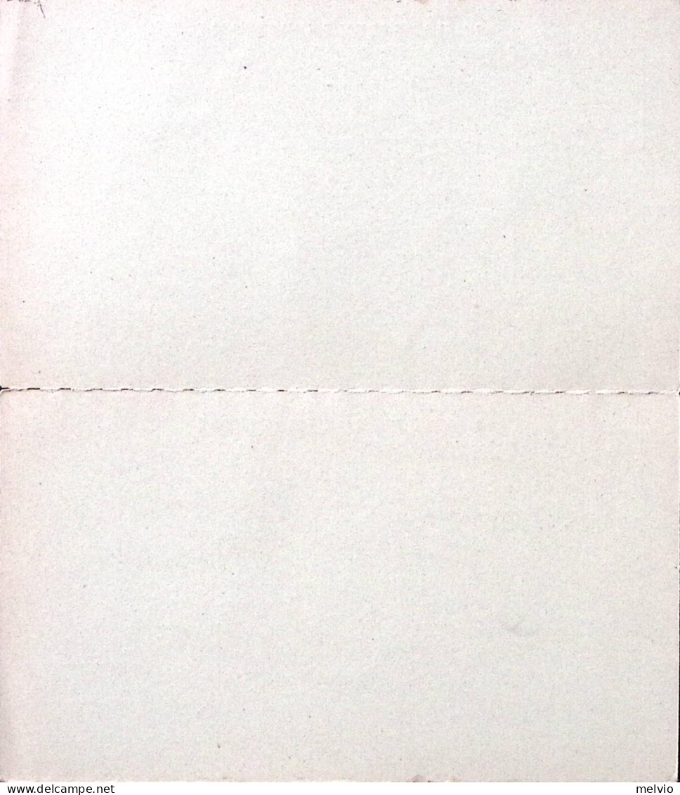 1882-Cartolina Postale RP C.10+10 Bruno Su Verde (C8) Nuova - Entiers Postaux