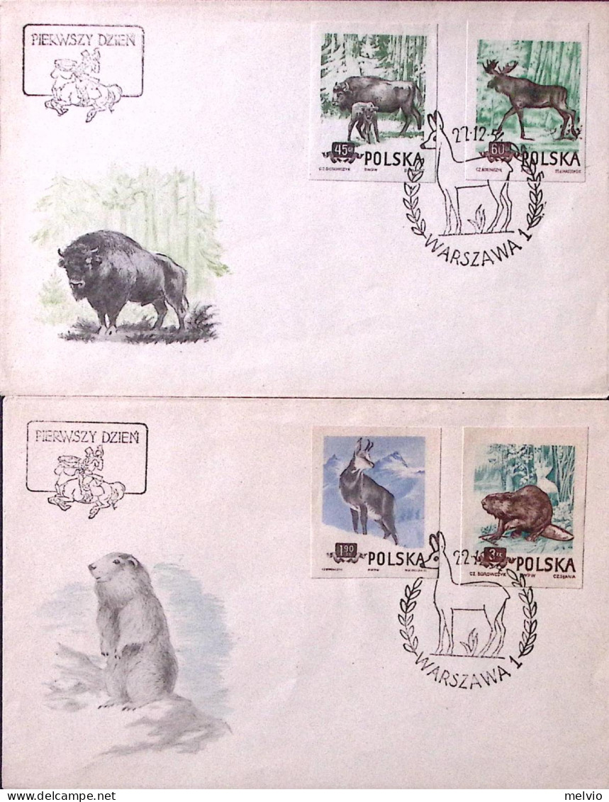 1954-POLONIA Animali Della Foresta Serie Cpl. NON DENTELLATA (785/8) Due Fdc - FDC