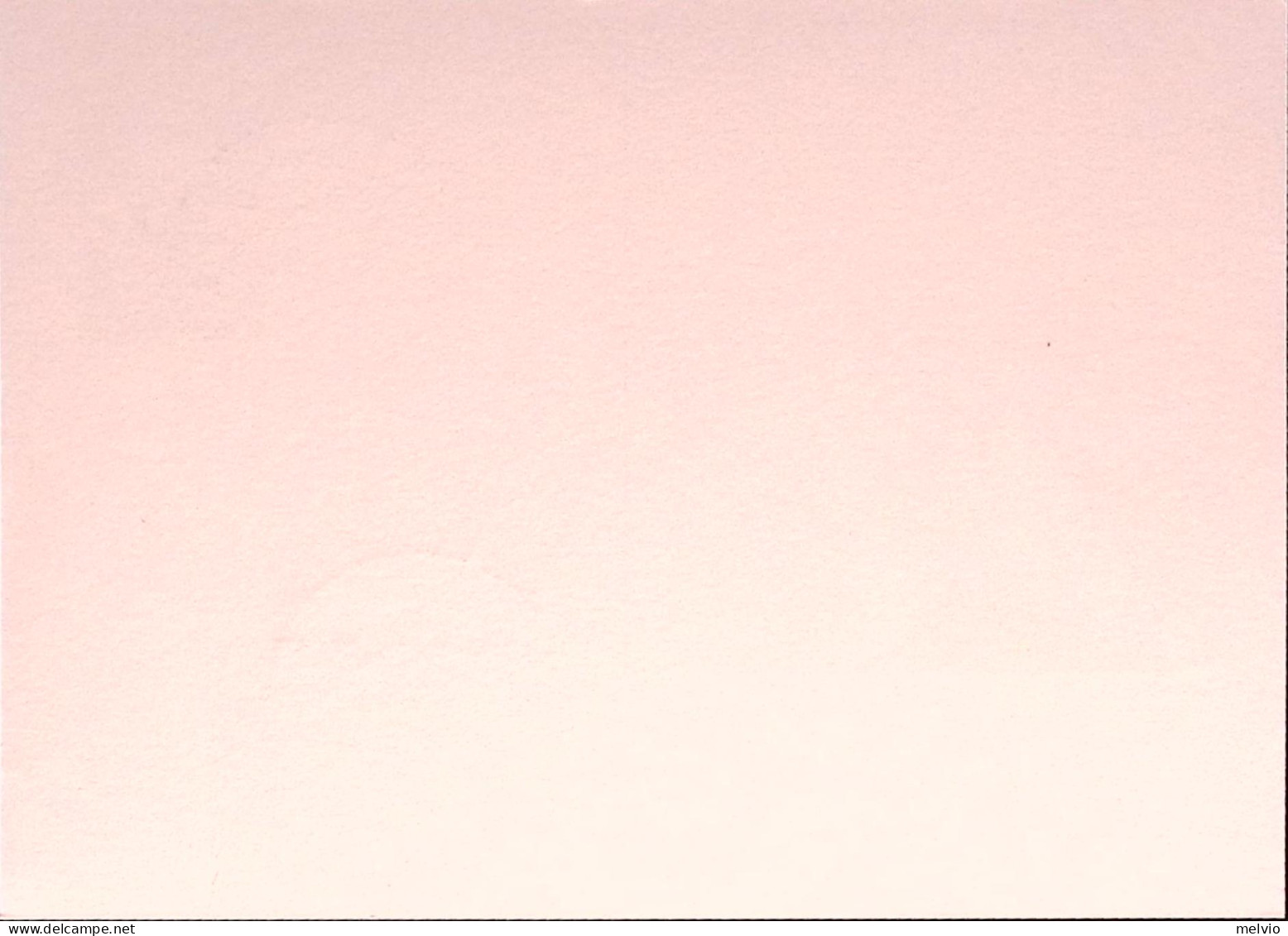 1995-FUNGHI E CASTAGNE Cartolina Postale IPZS Lire 700 Ann Spec - Postwaardestukken