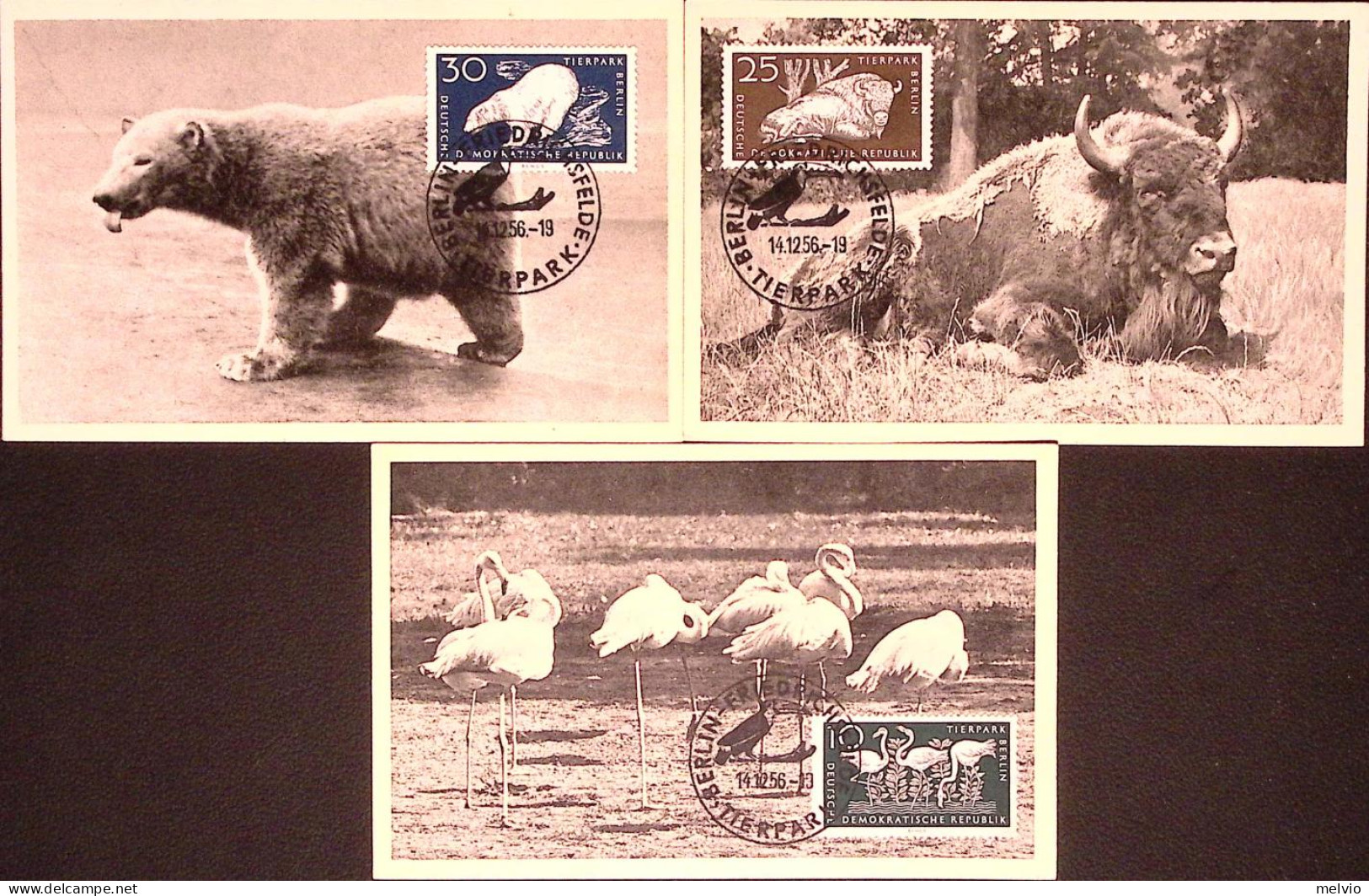 1956-GERMANIA DDR Parco Zoologico Berlino Serie Cpl. (276/1) Sei Fdc Maximum - Brieven En Documenten