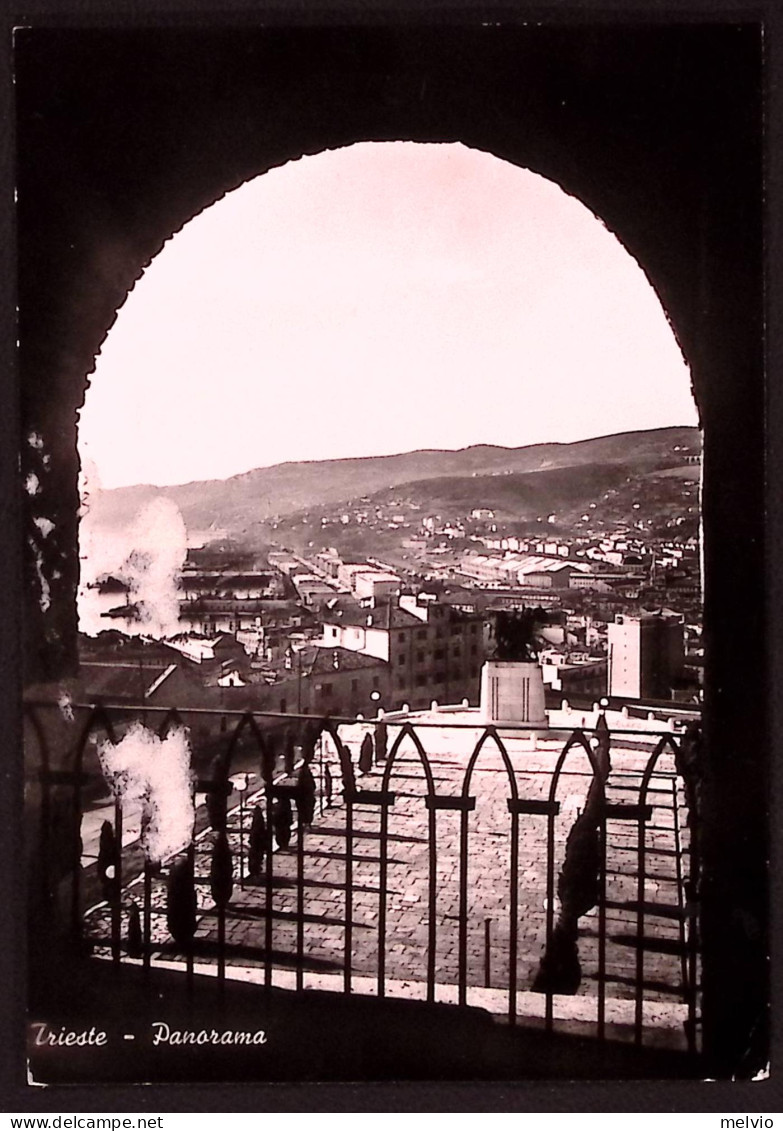 1951-TRIESTE AMG-FTT Targhetta DONATE SANGUE ALLA BANCA (18.1) - Trieste