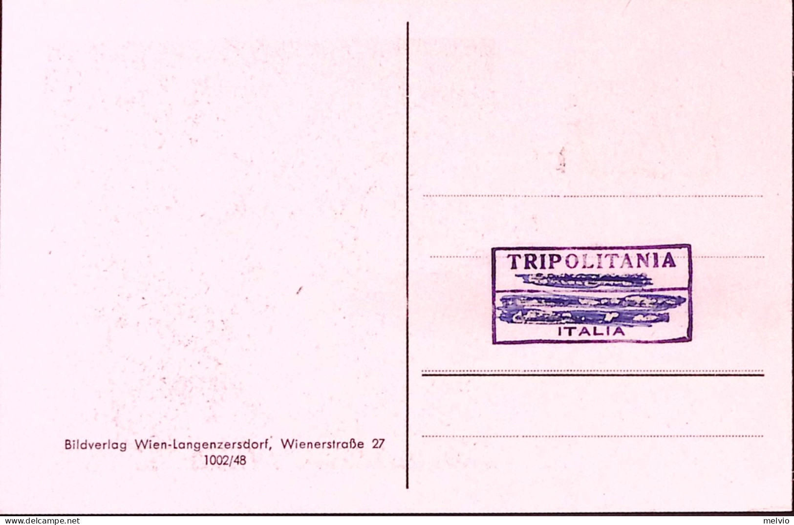 1948-Austria Panorami G.5 Su Maximum Ann. Vienna (12.4) - Autres & Non Classés