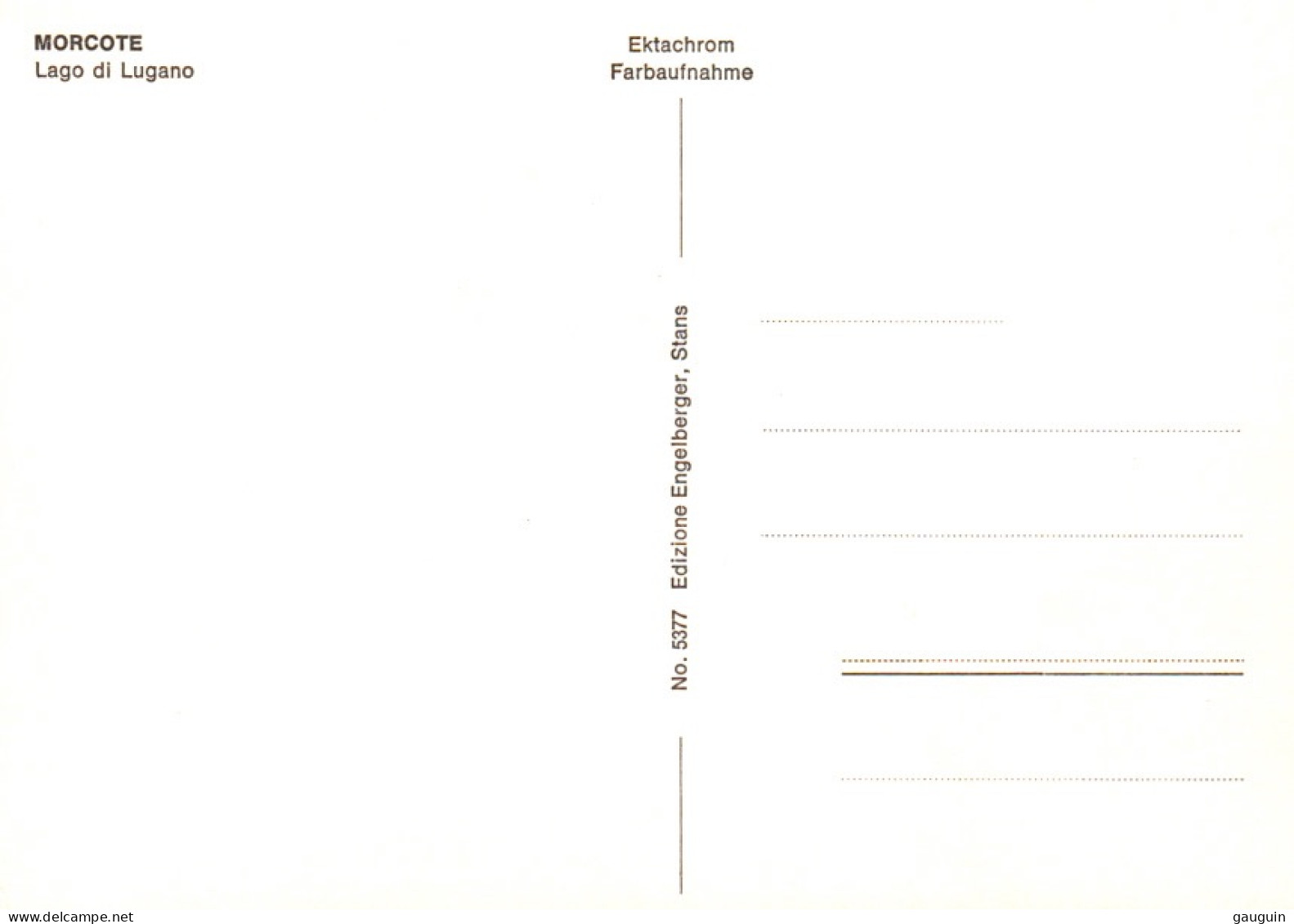 CPSM - MORCOTE - Lago Di Lugano - Edition Engelberger - Morcote