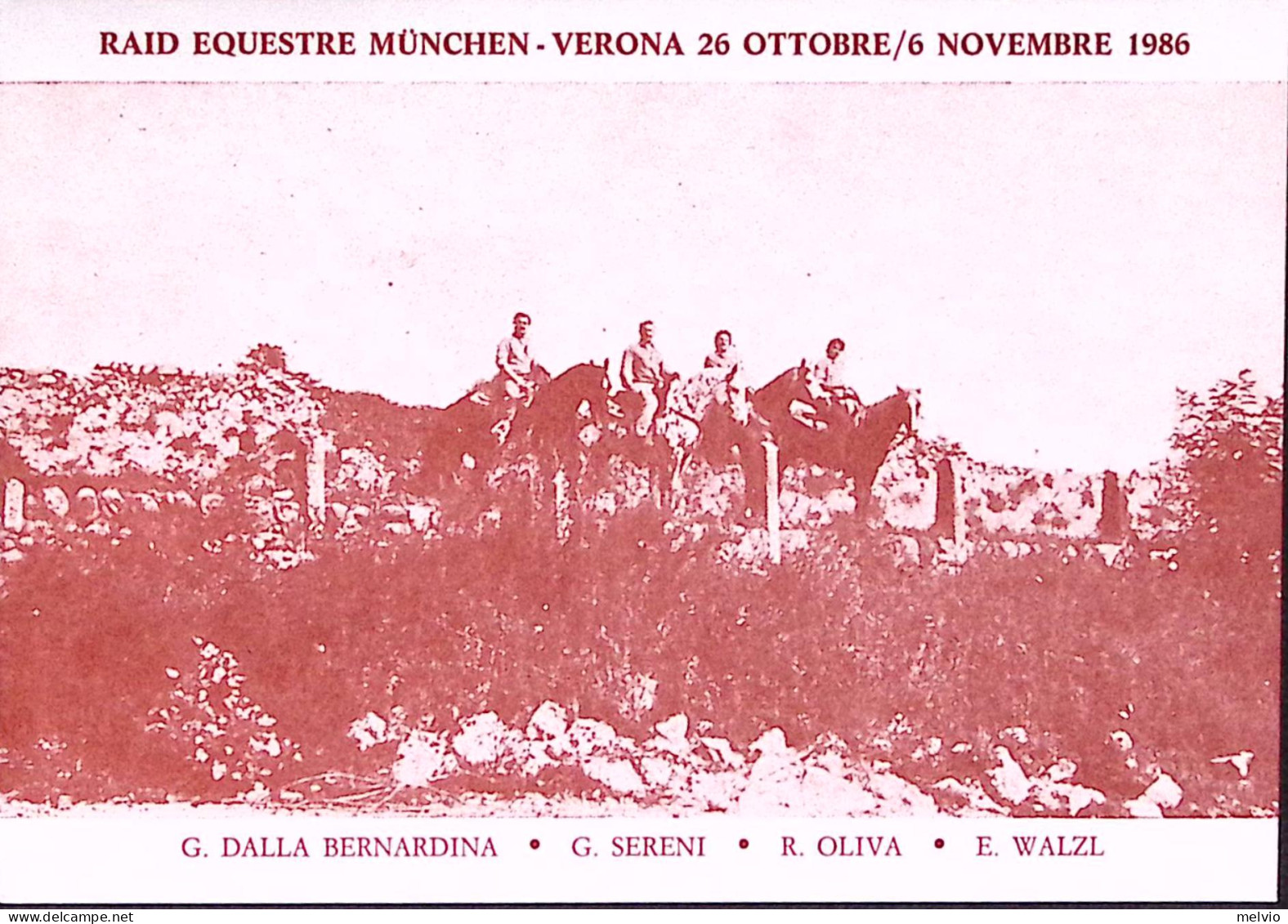 1986-VERONA 11 FIERA CAVALLI Annullo Speciale (6.11) Su Cartolina RAID EQUESTRE  - Other & Unclassified