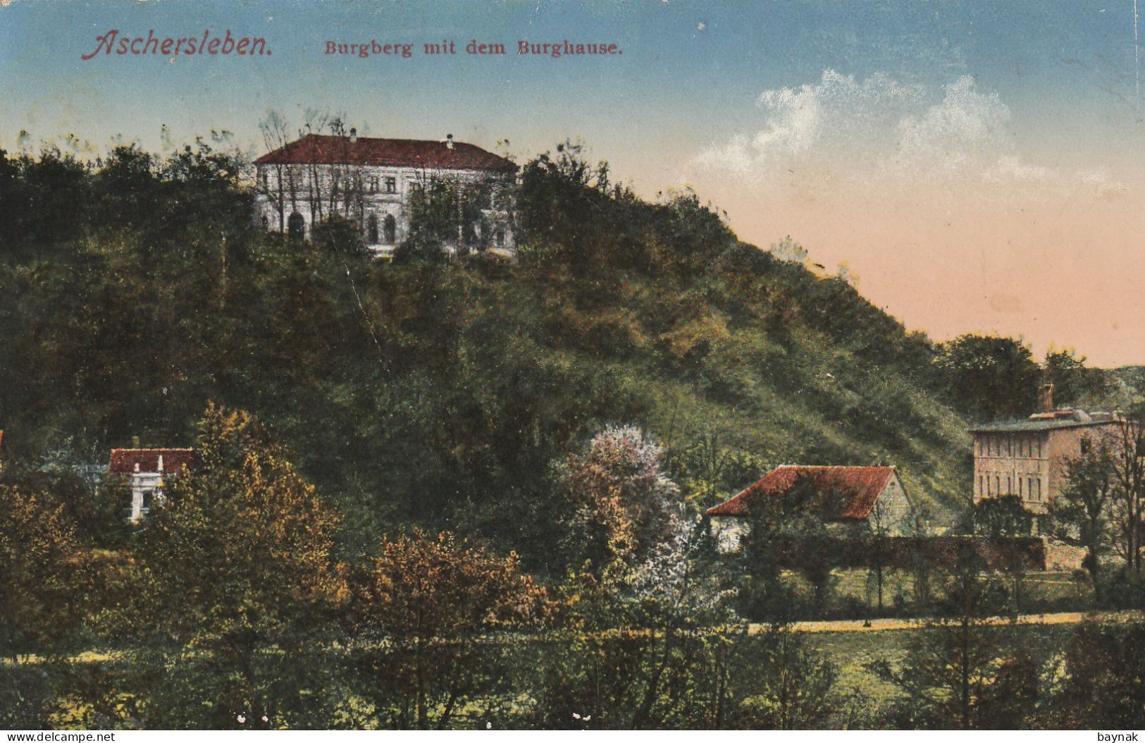 DE355   --  ASCHERSLEBEN  --  BURGBERG MIT DEM BURGHAUSE  --  FEDPOST  Genes. Kp. E: / R. I. R. 72   --  1918 - Aschersleben