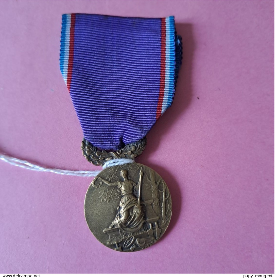 Médaille Amicale Laïque Du Nord En Bronze - Frankrijk