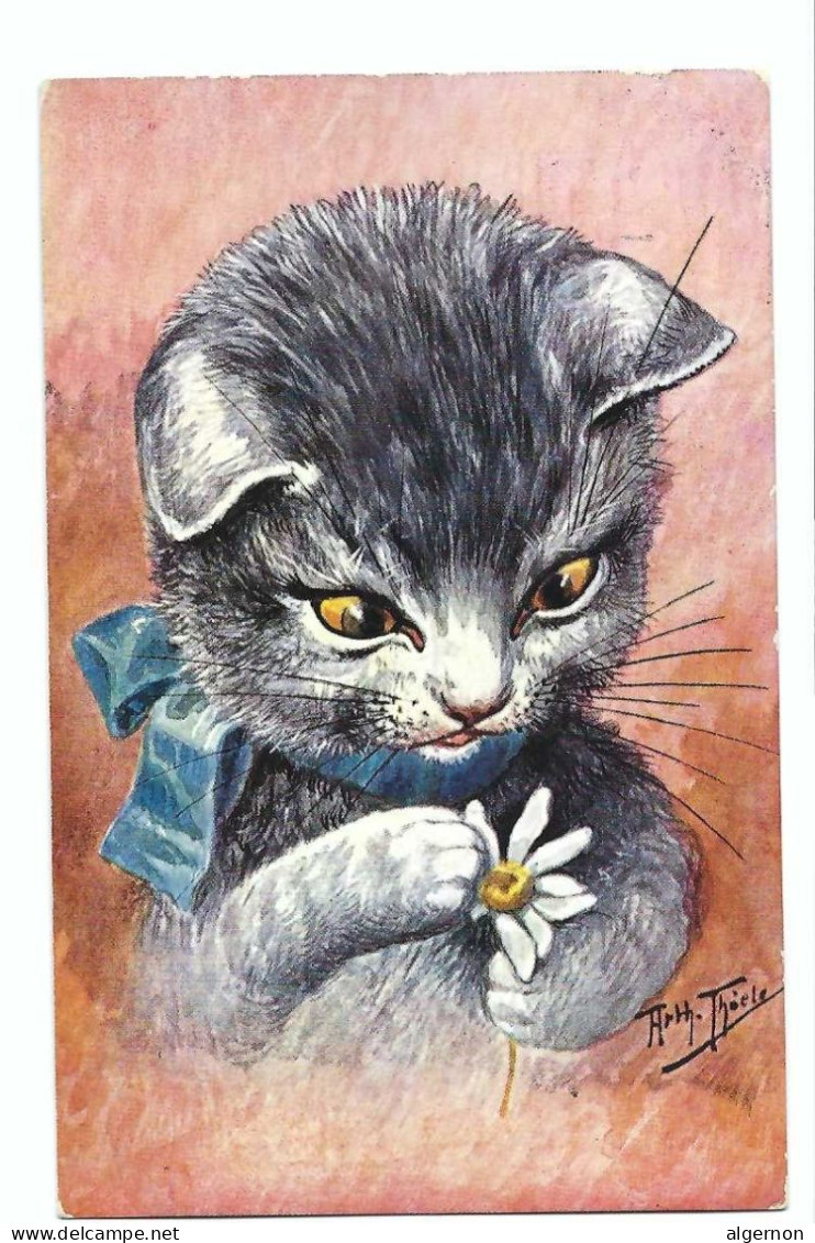32582 - Illustrateur Arthur Thiele Chat Cat Cats Katze Raphael Tuck Et Fil Oilette Série 959 - Chats