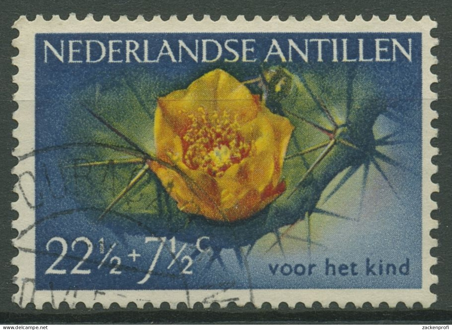 Niederländische Antillen 1955 Jugendwohlfahrt Blumen Blüten 46 Gestempelt - Niederländische Antillen, Curaçao, Aruba