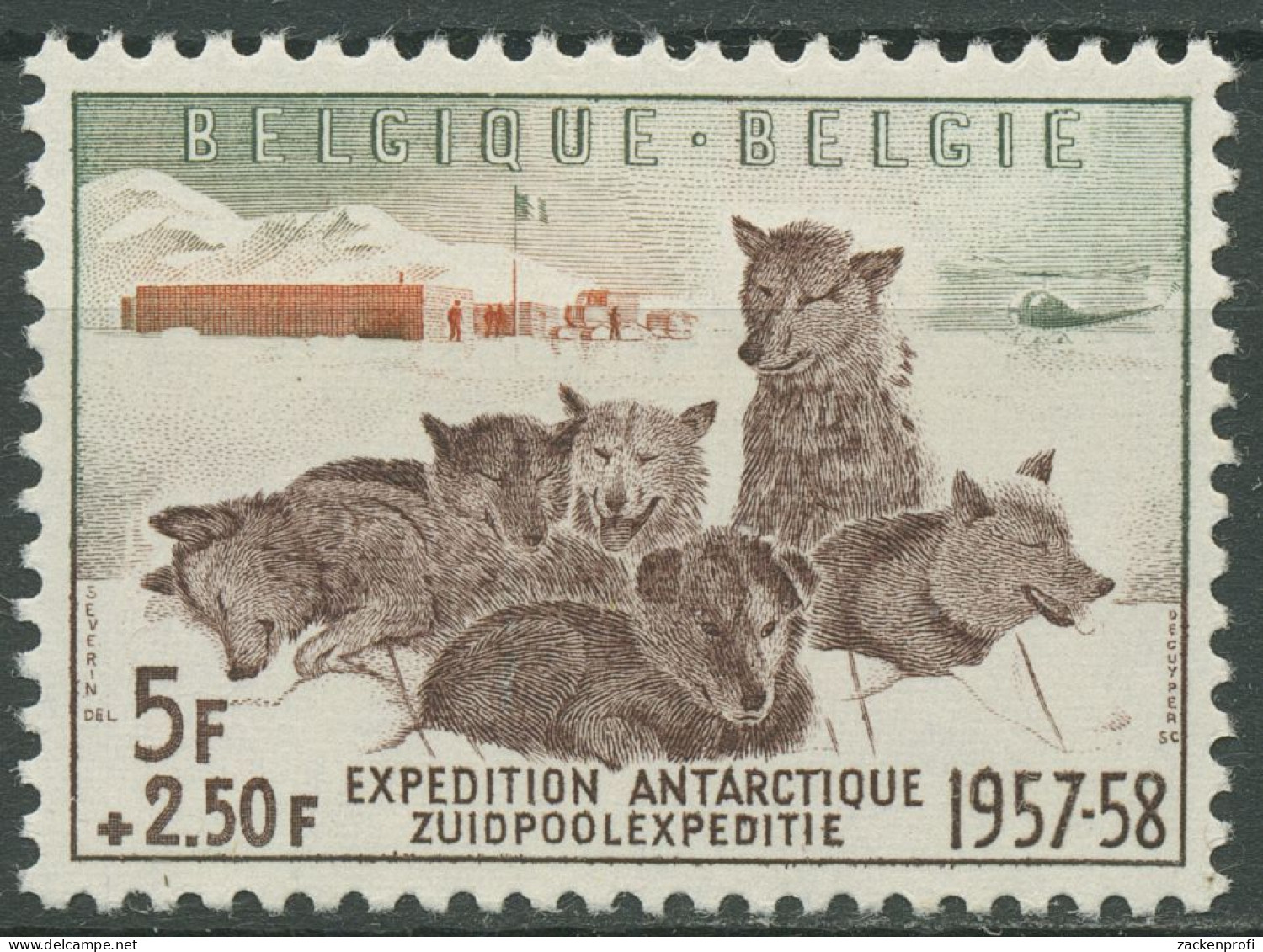 Belgien 1957 Südpolarexpedition Schlittenhunde 1072 Postfrisch - Neufs