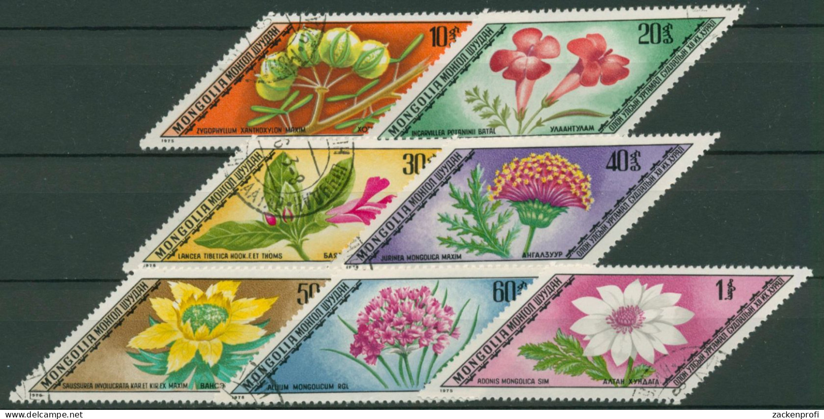 Mongolei 1975 Heilpflanzen Blumen 917/23 Gestempelt - Mongolie