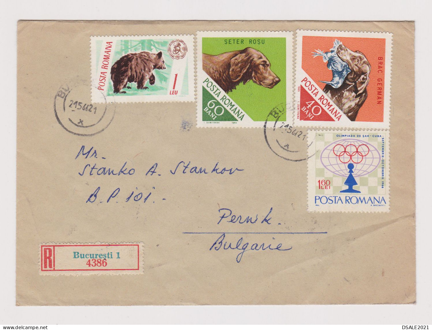 Romania Rumänien 1960s Registered Cover With Topic Stamps Bear, Hunting Dogs, Dog, Chess, Sent To Bulgaria (933) - Lettres & Documents