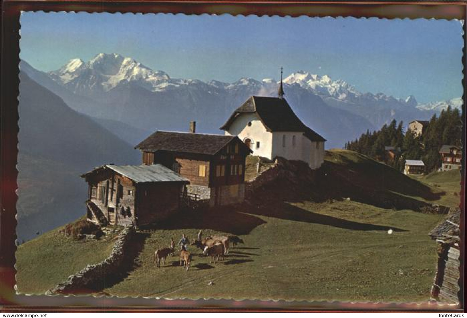11293503 Bettmeralp VS Wallis Fletschhorn Mischabel Matterhorn Bettmeralp - Autres & Non Classés