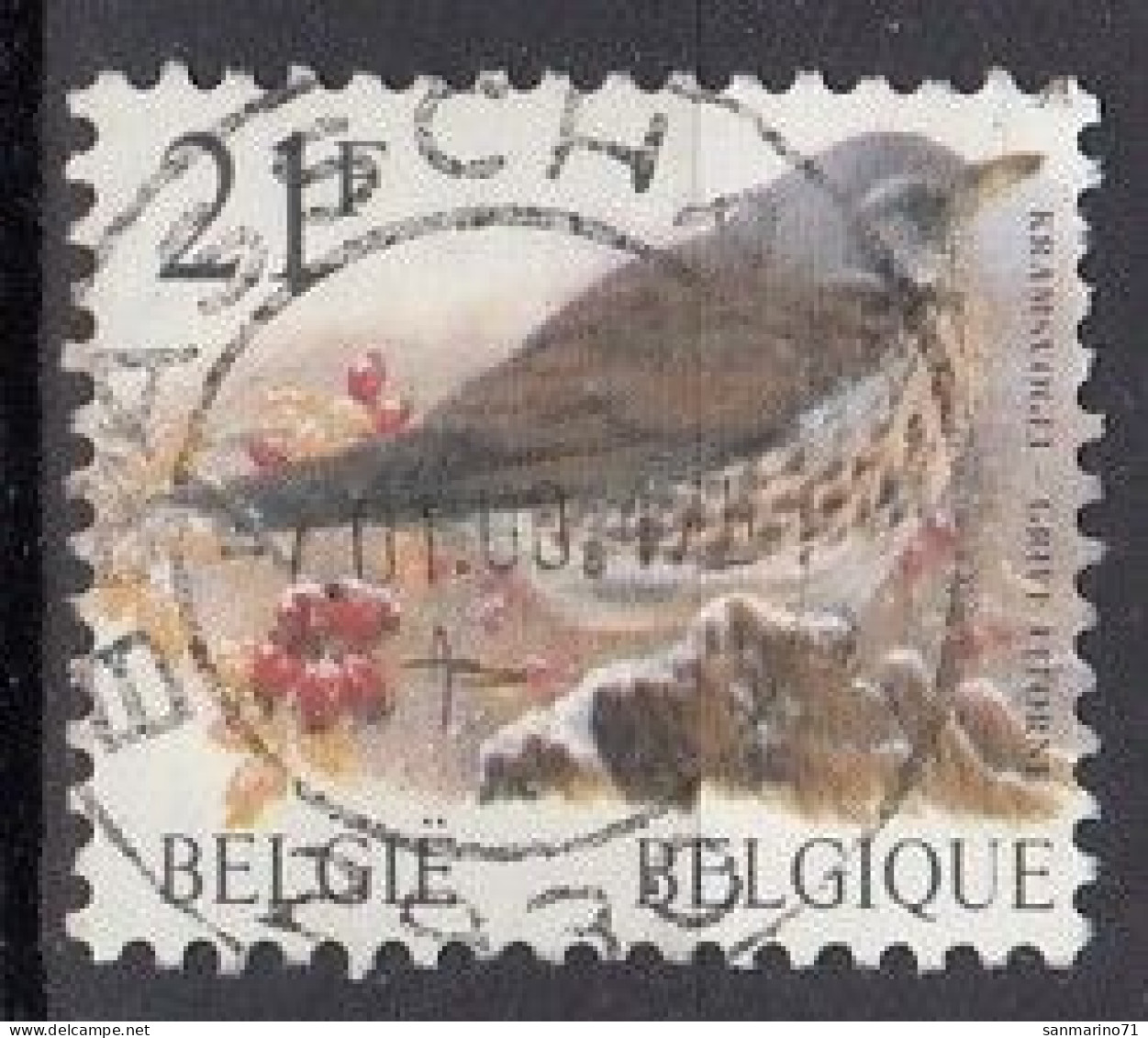 BELGIUM 2844,used,falc Hinged,birds - Usados