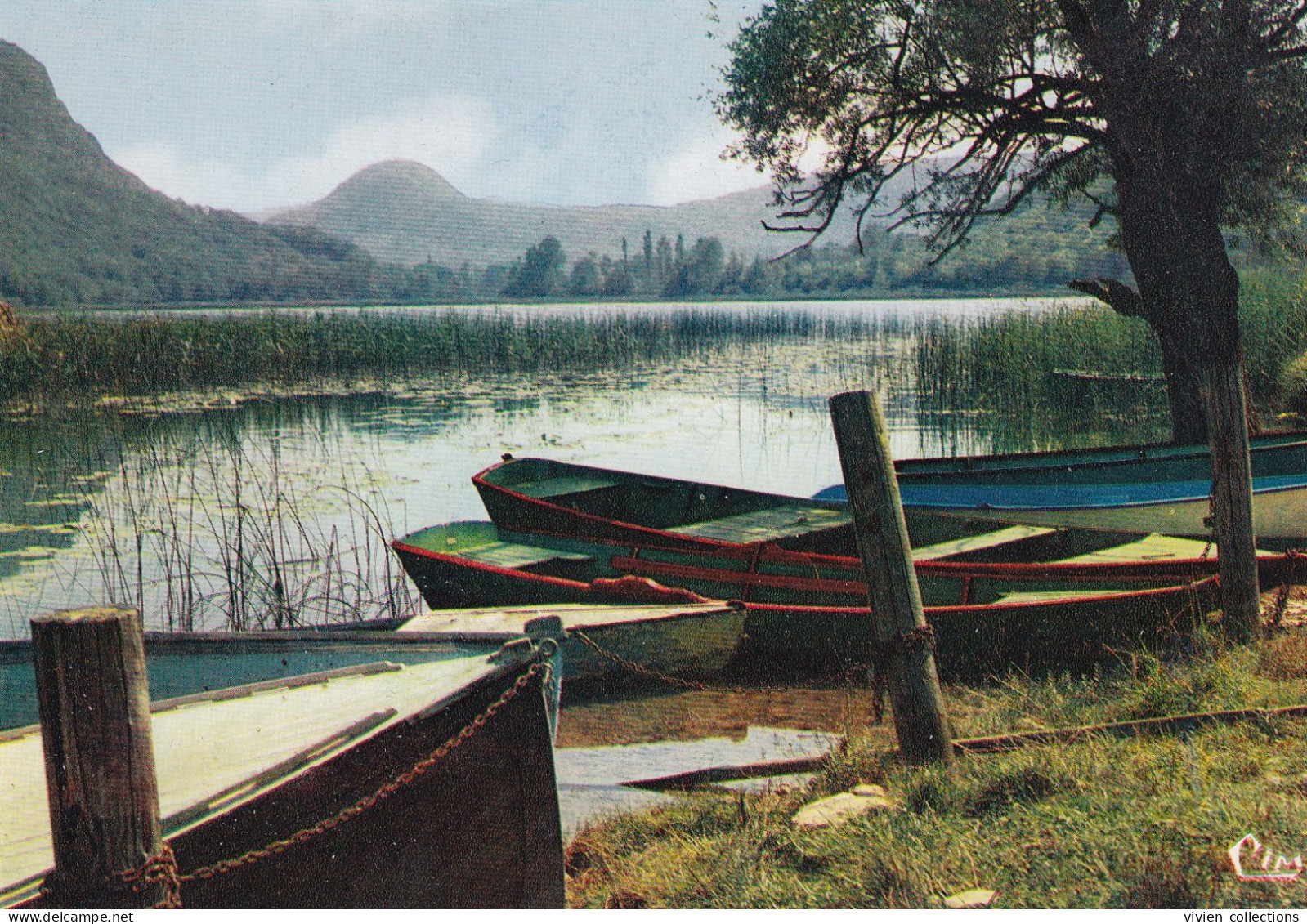 Belley (01 Ain) Lac De Barterand à Saint Champ - édit. Combier CPSM - Belley