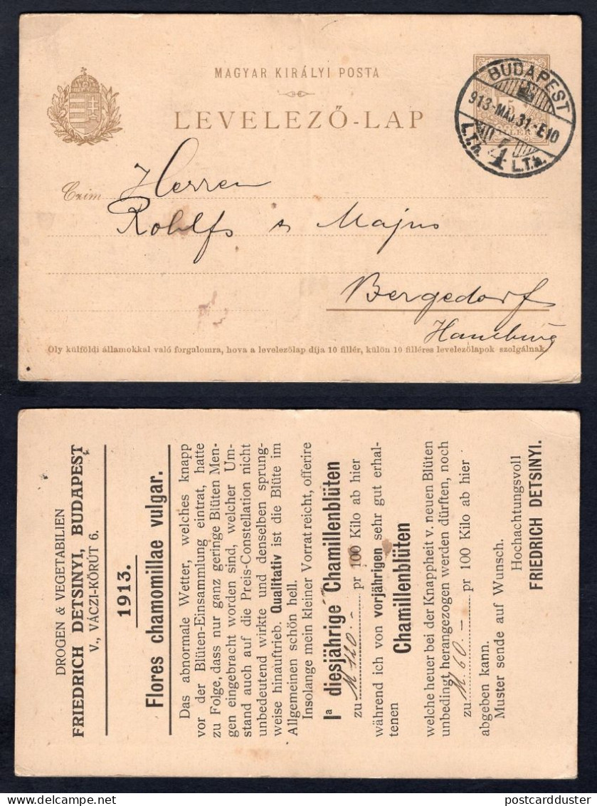 HUNGARY 1913 Advertising Postal Card To Bergedorf Germany (p469) - Covers & Documents