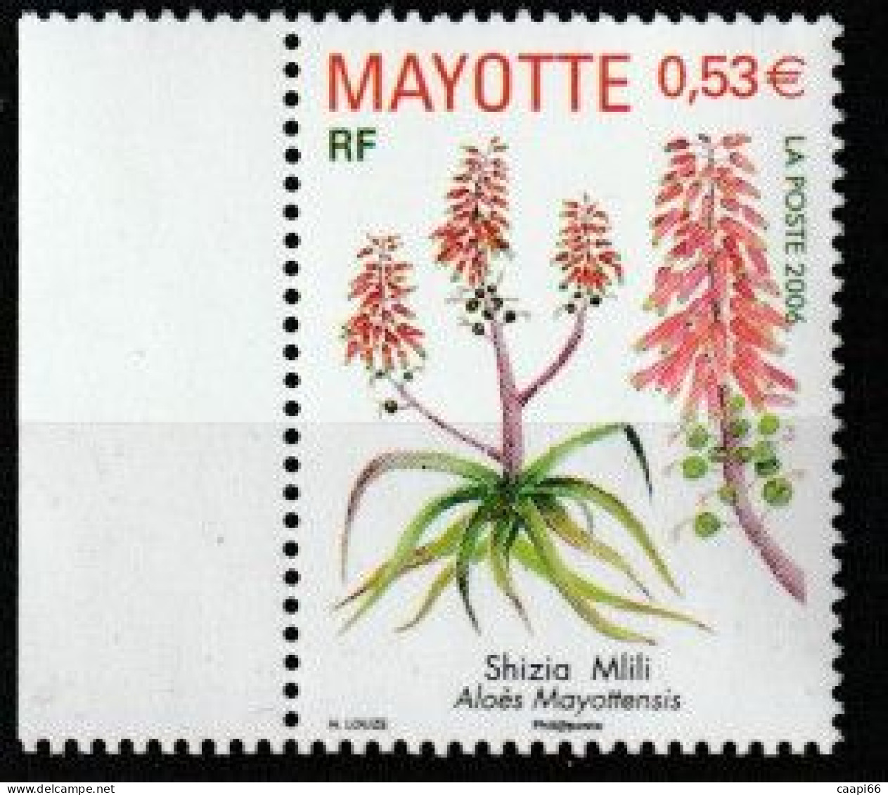 Mayotte - YT N° 190  - Neuf  - 2006 - Shizia Mlili - Aloès Mayottensis - Ongebruikt