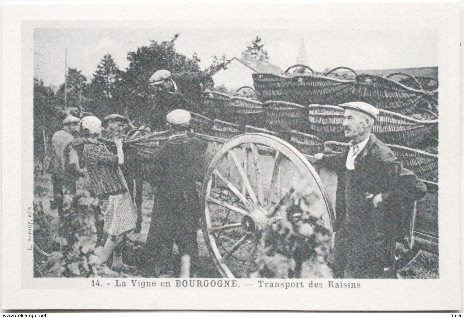 La Vigne En Bourgogne – Transport Des Raisins  /GP67 - Bourgogne