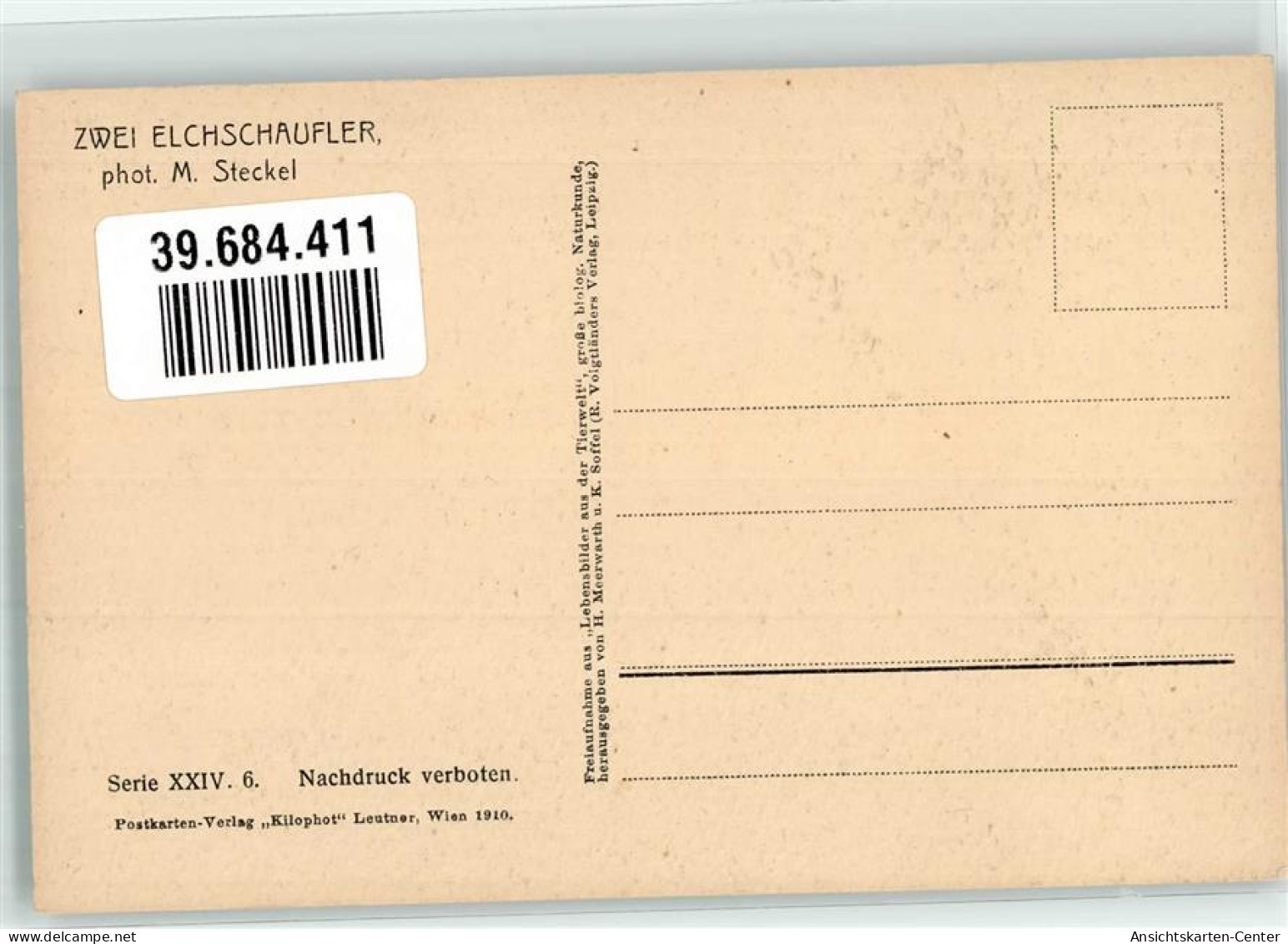 39684411 - Foto M. Steckel Zwei Elchschaufler Verlag Kilophot Serie XXIV. 6. - Autres & Non Classés