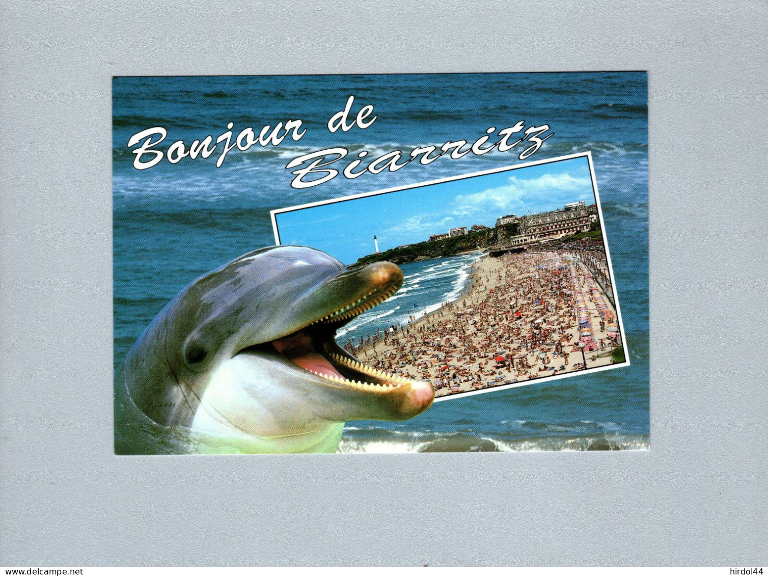 Dauphins - Delfines