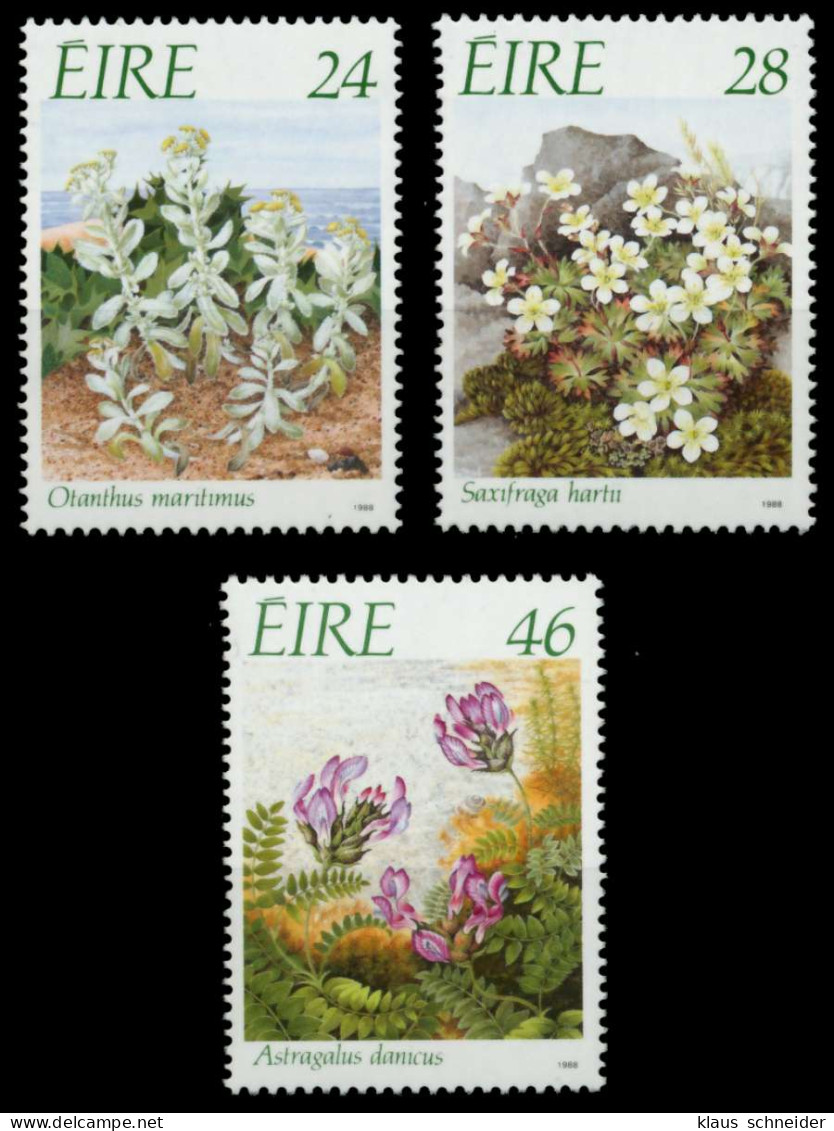 IRLAND 1988 Nr 654-656 Postfrisch S0197AA - Unused Stamps