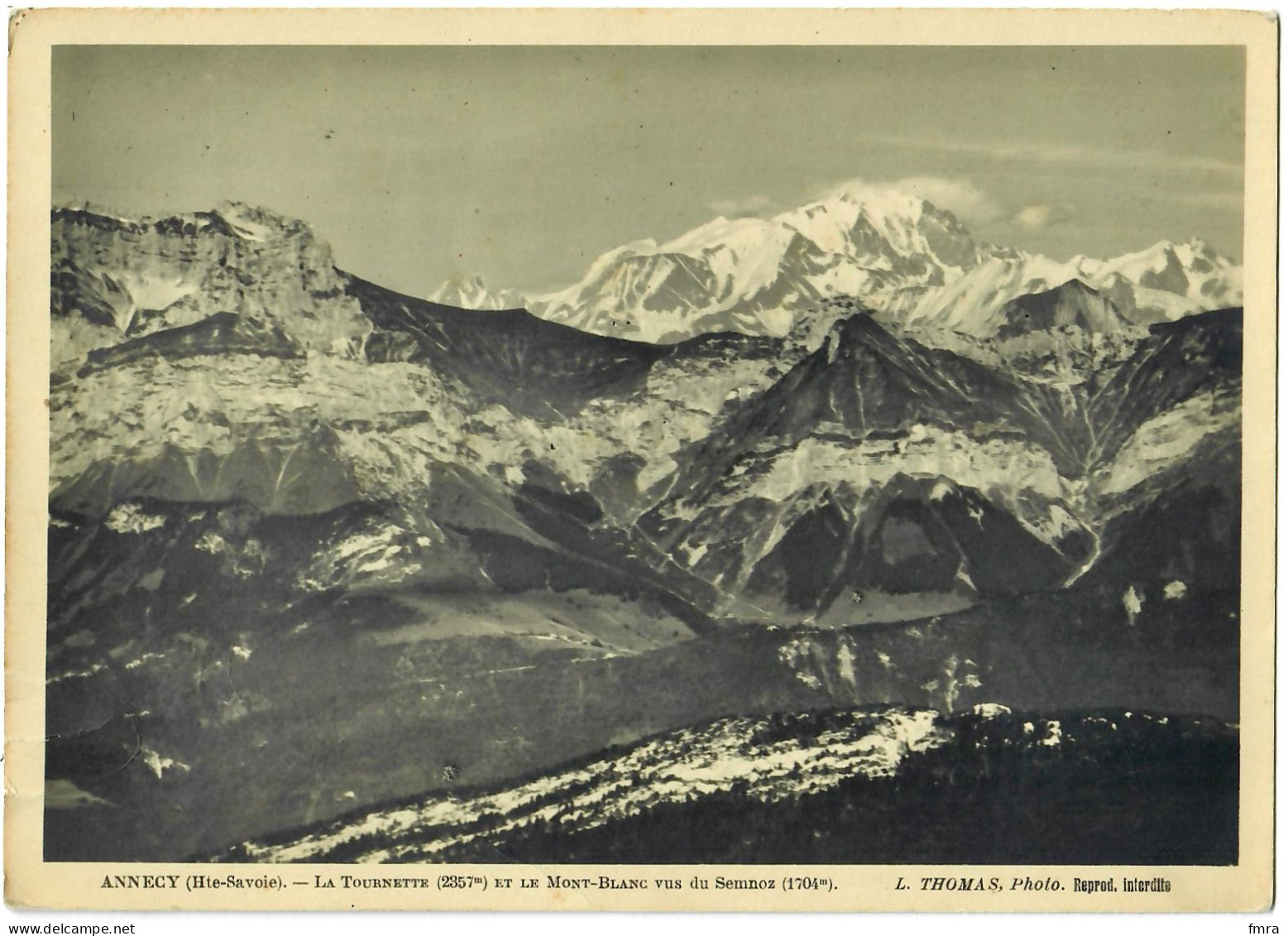 ANNECY (Haute-Savoie) - La Tournette Et Le Mont-Blanc Vus Du Semnoz - Grande Photo (18x13 Cm) L. THOMAS, Photo. /GP81 - Autres & Non Classés