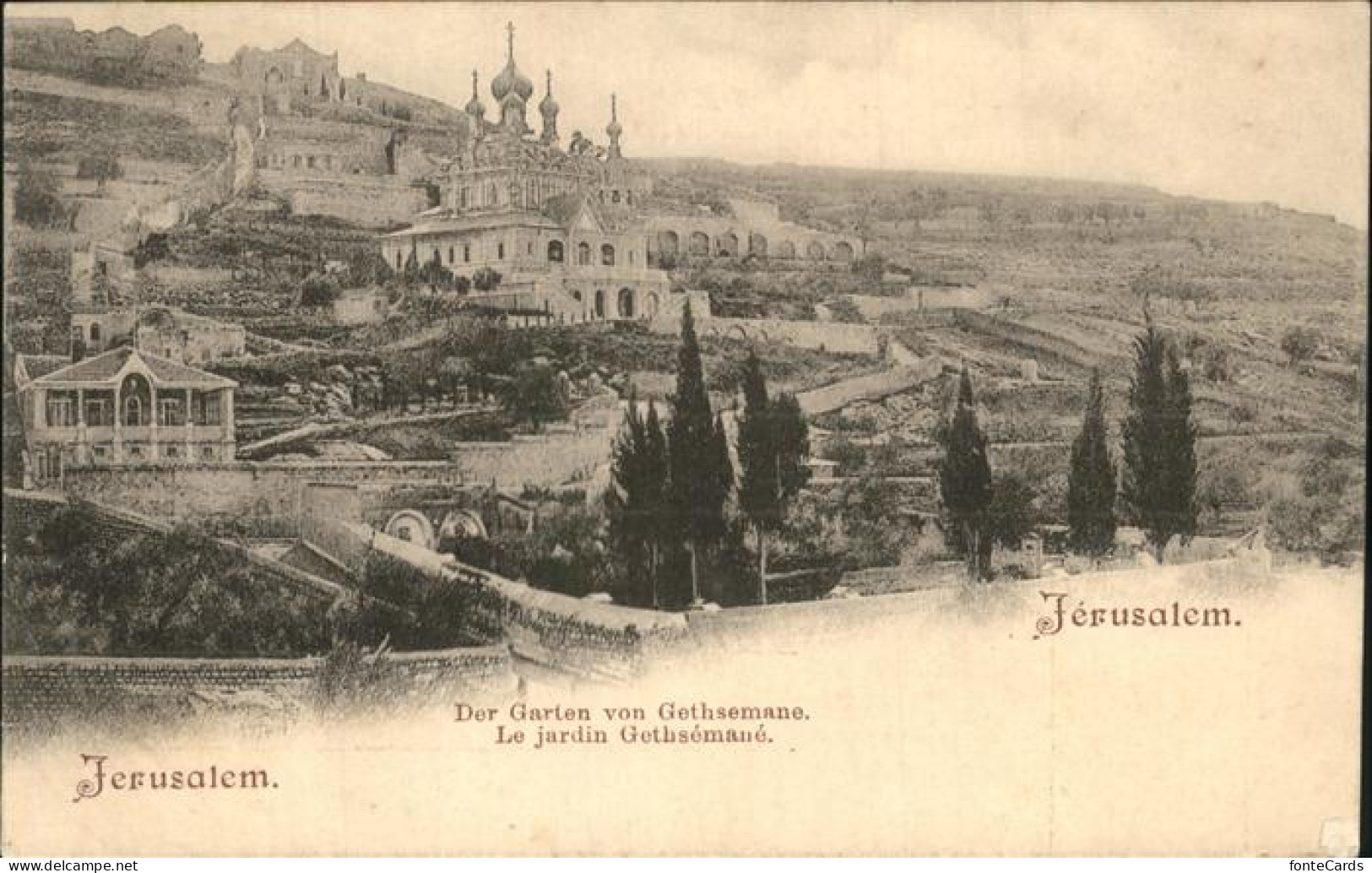 11268832 Jerusalem Yerushalayim Garten Von Gethsemane  - Israel