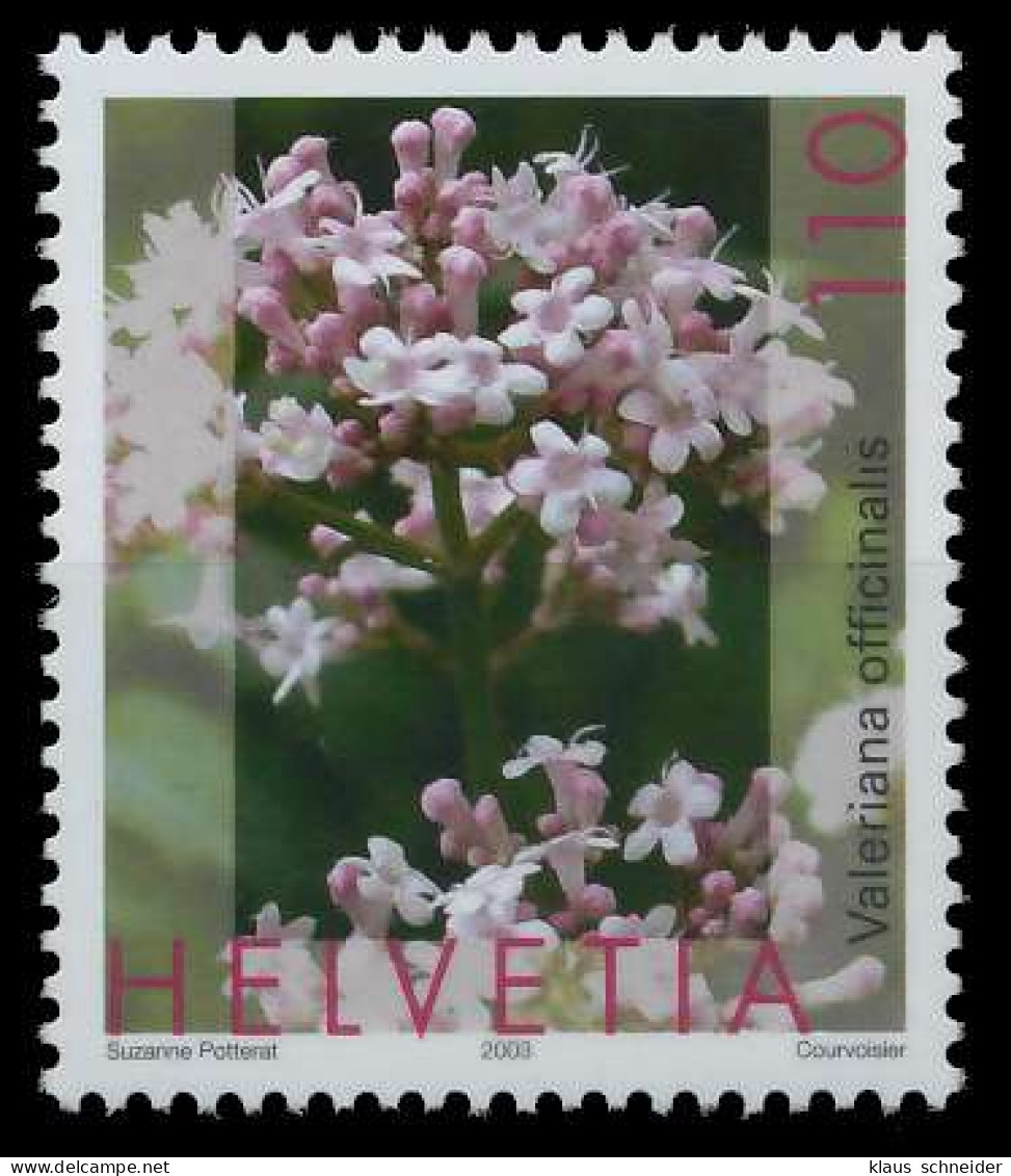 SCHWEIZ 2003 Nr 1822 Postfrisch X64BFBE - Unused Stamps