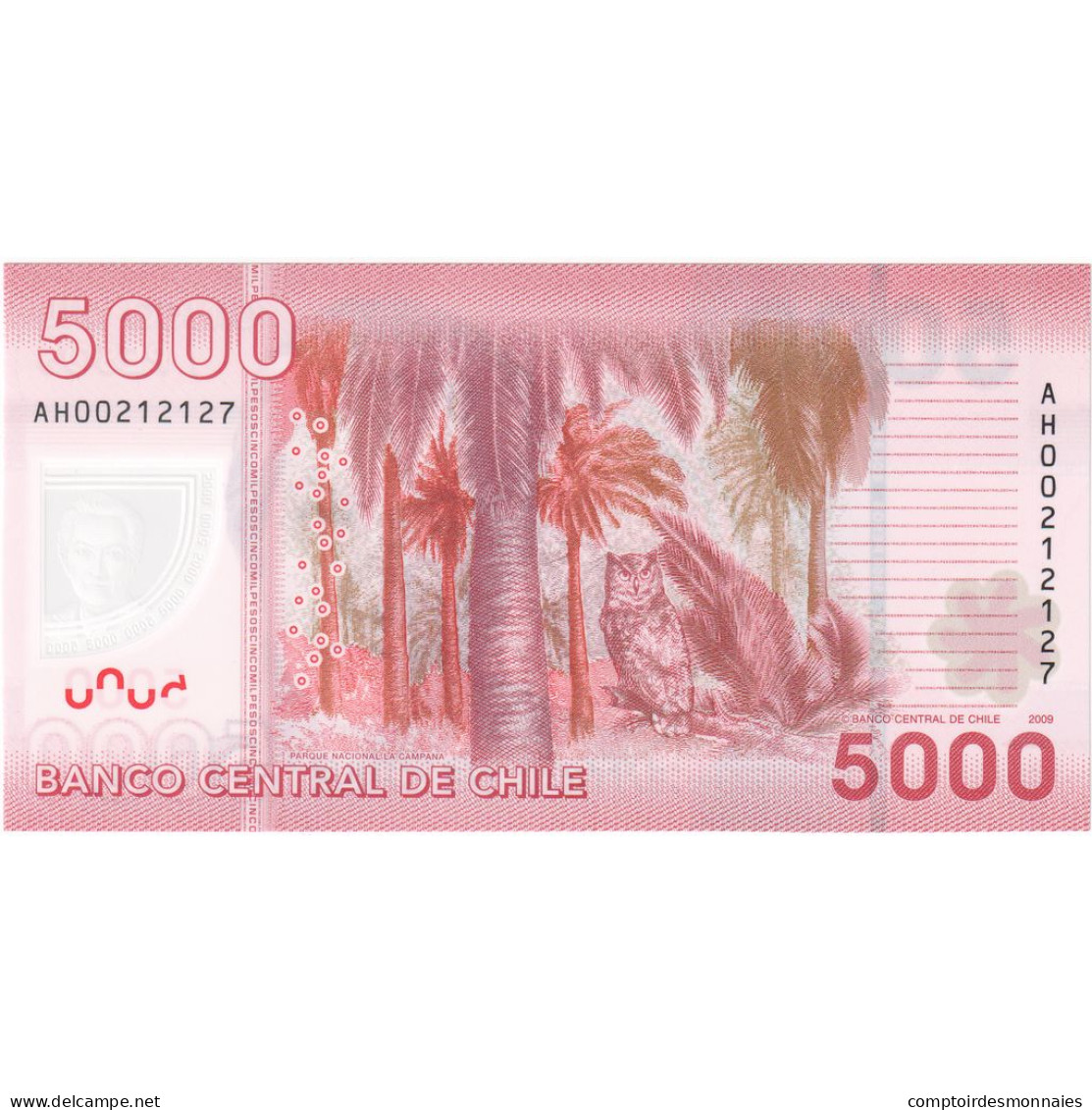Billet, Chile, 5000 Pesos, 2011, NEUF - Chili