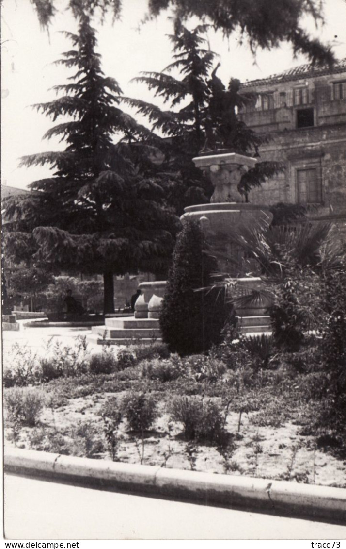 ENNA   / Fontana Del Ratto Di Proserpina _ Cartolina Fotografica - Enna