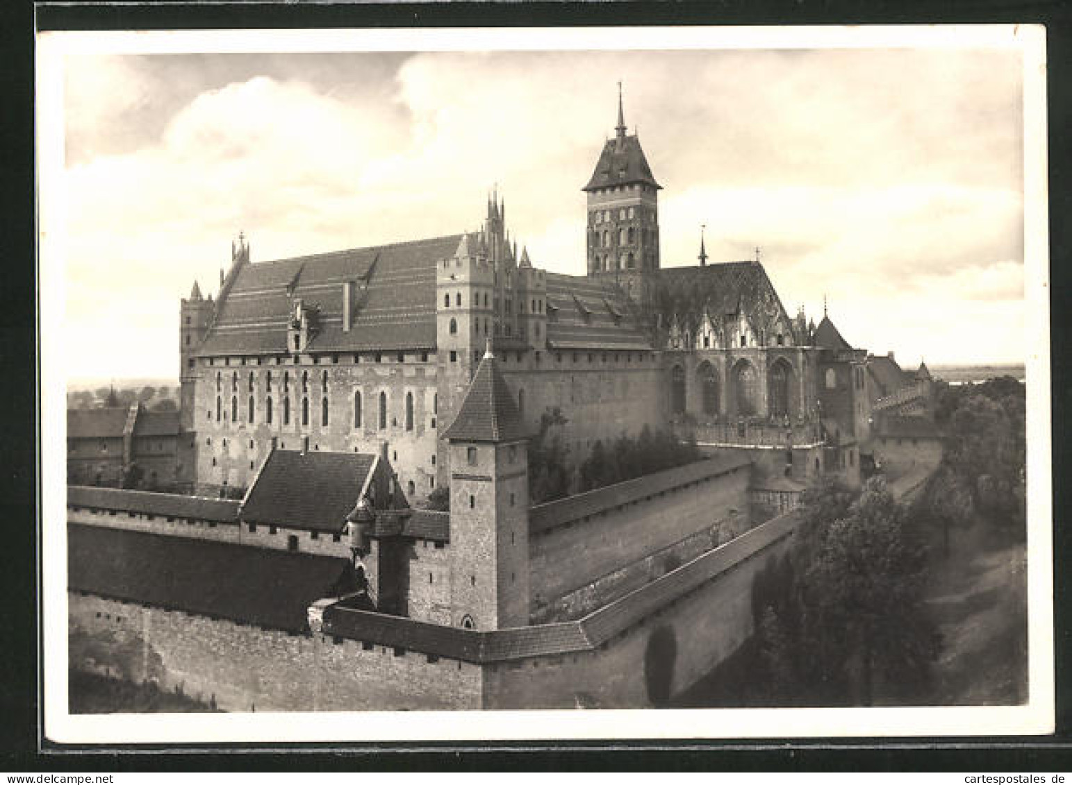 AK Marienburg / Malbork, Südansicht Des Schlosses  - Westpreussen