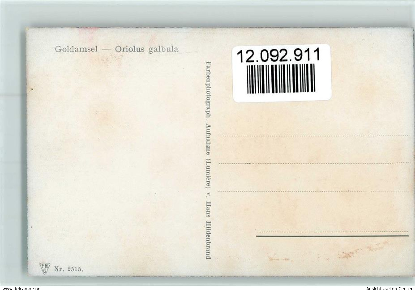 12092911 - Voegel  Goldamsel - FPHG Nr. 2515 - Oiseaux