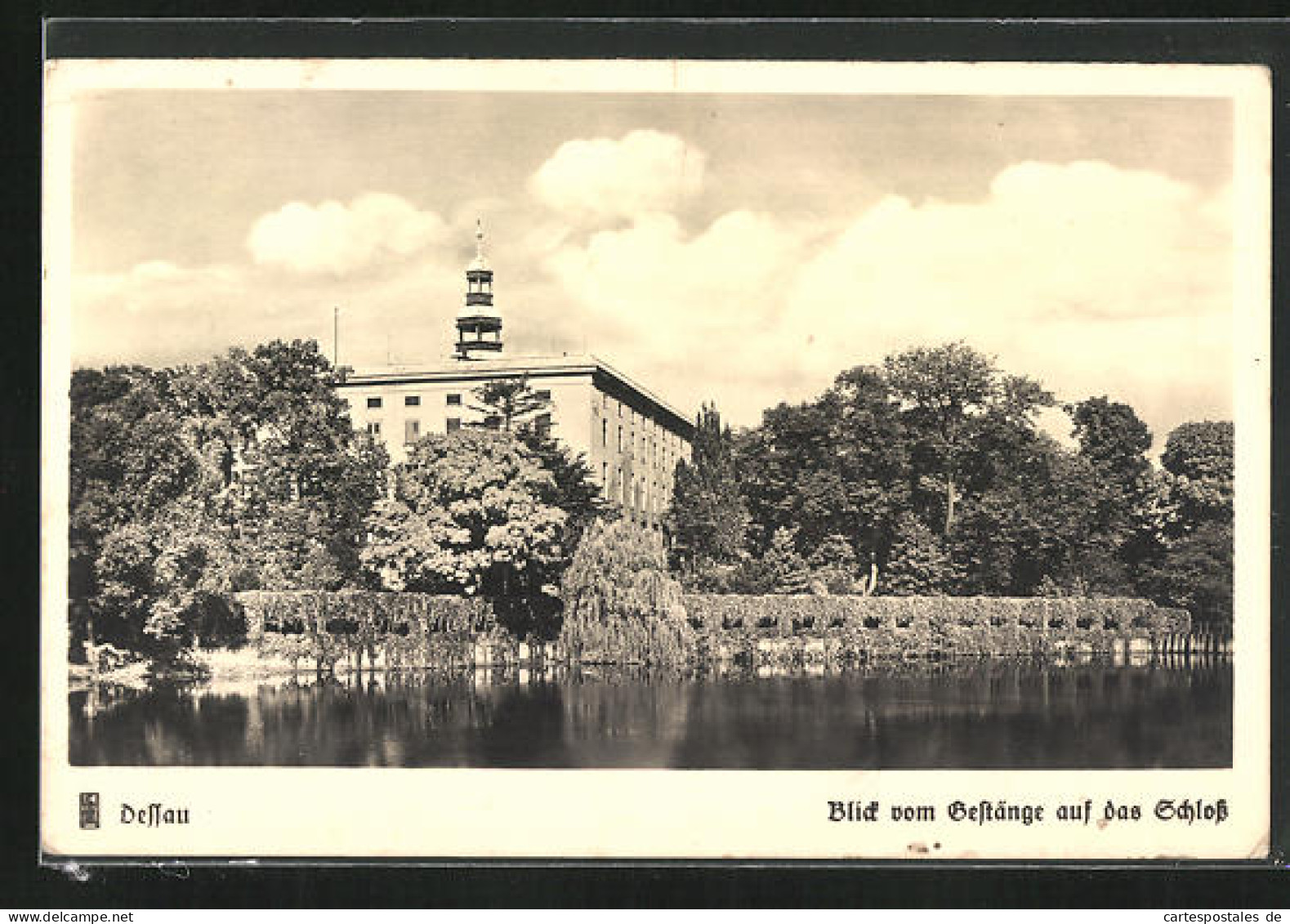 AK Dessau, Blick Vom Gestänge Auf Das Schloss  - Dessau